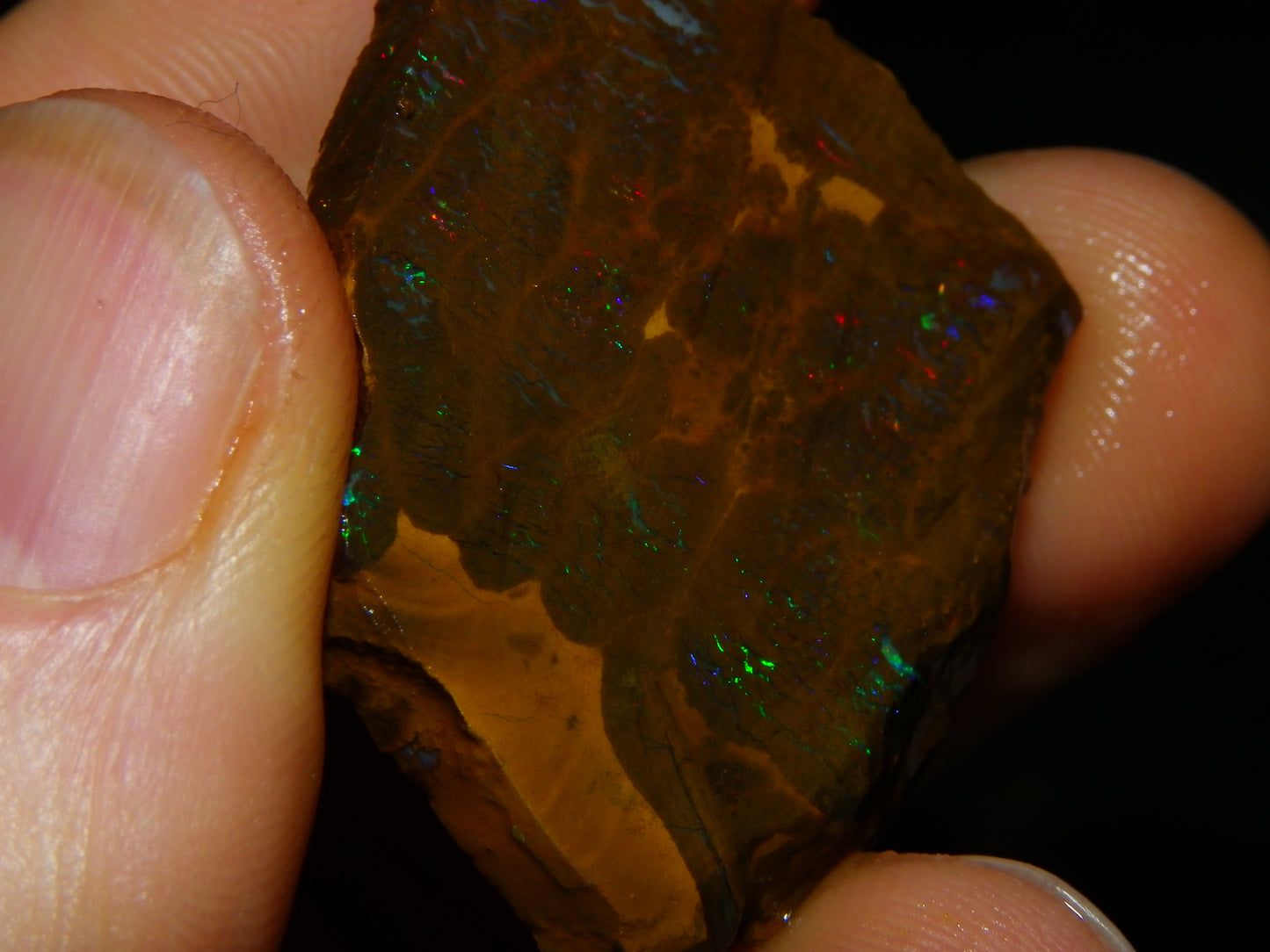 Nice Rough/sliced Matrix/Koroit Opal Parcel 225.2cts Patterns Some Fires Red/Greens