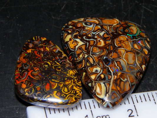 2 Nice Koroit Cut/Polished Opals 33.6cts Patterns/Some Fires Unique Qld Australia