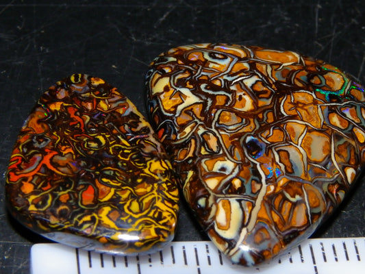 2 Nice Koroit Cut/Polished Opals 33.6cts Patterns/Some Fires Unique Qld Australia