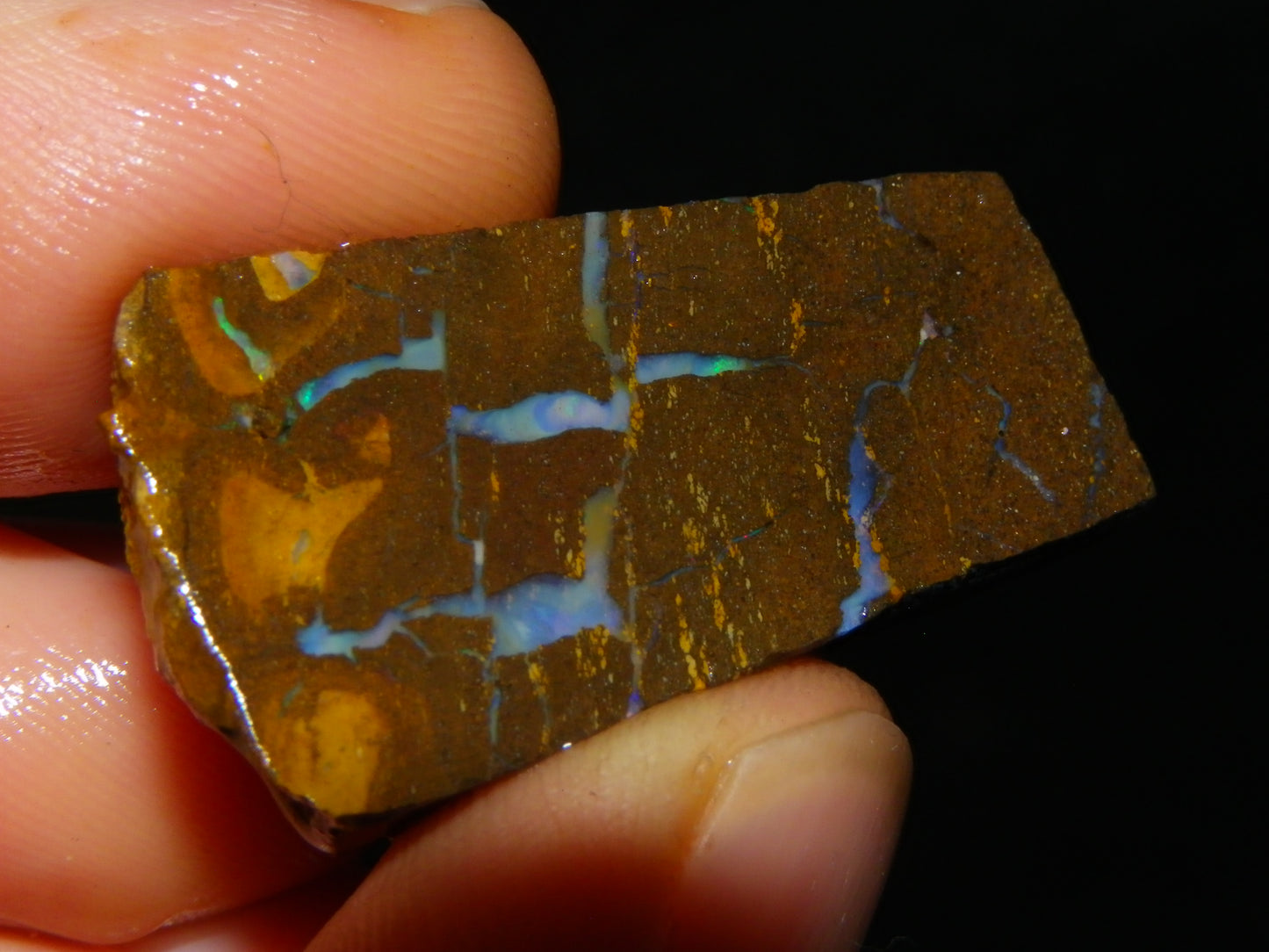 Nice Rough/sliced Matrix/Koroit Opal Parcel 225.2cts Patterns Some Fires Red/Greens