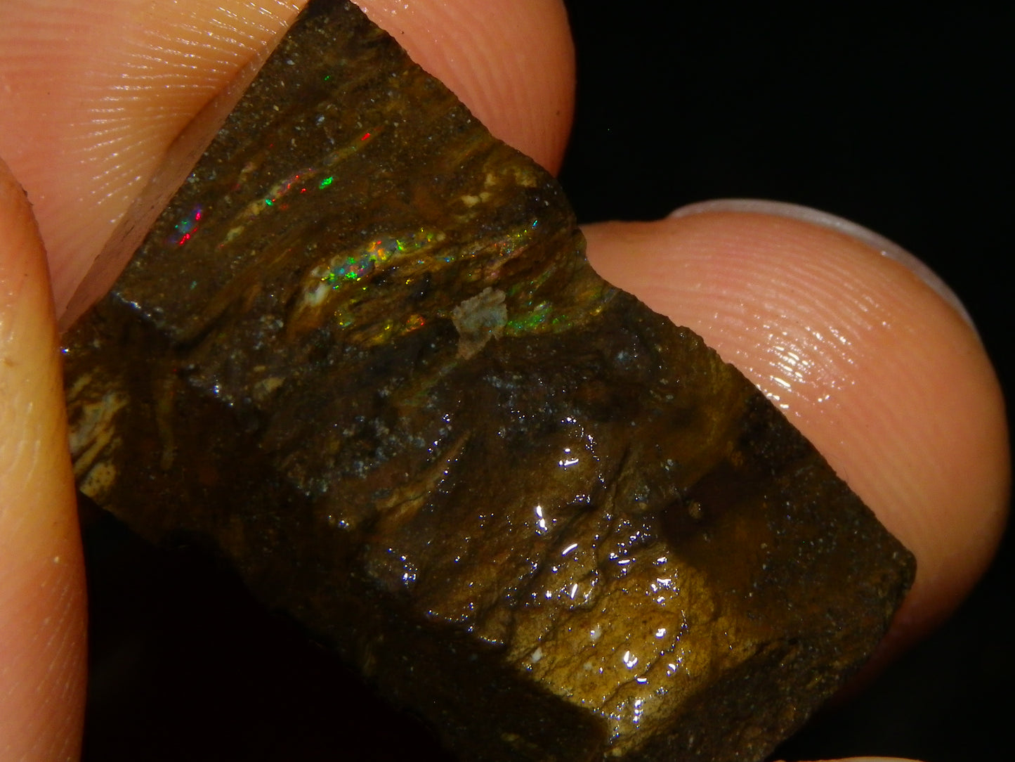 Nice Rough/sliced Matrix/Koroit Opal Parcel 225.2cts Patterns Some Fires Red/Greens