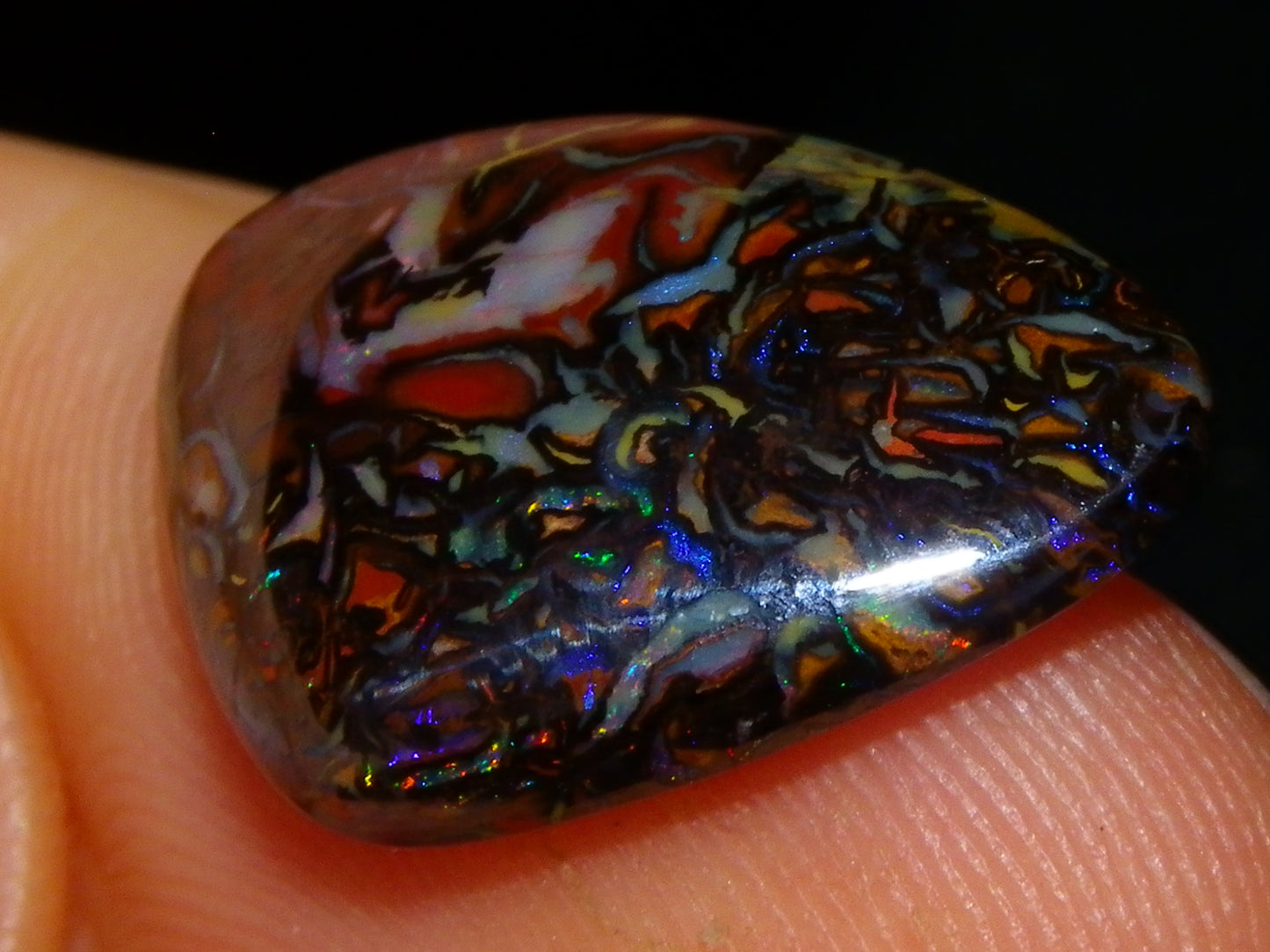 2 Nice Koroit Cut/Polished Opals 33.6cts Patterns/Some Fires Unique Qld Australia