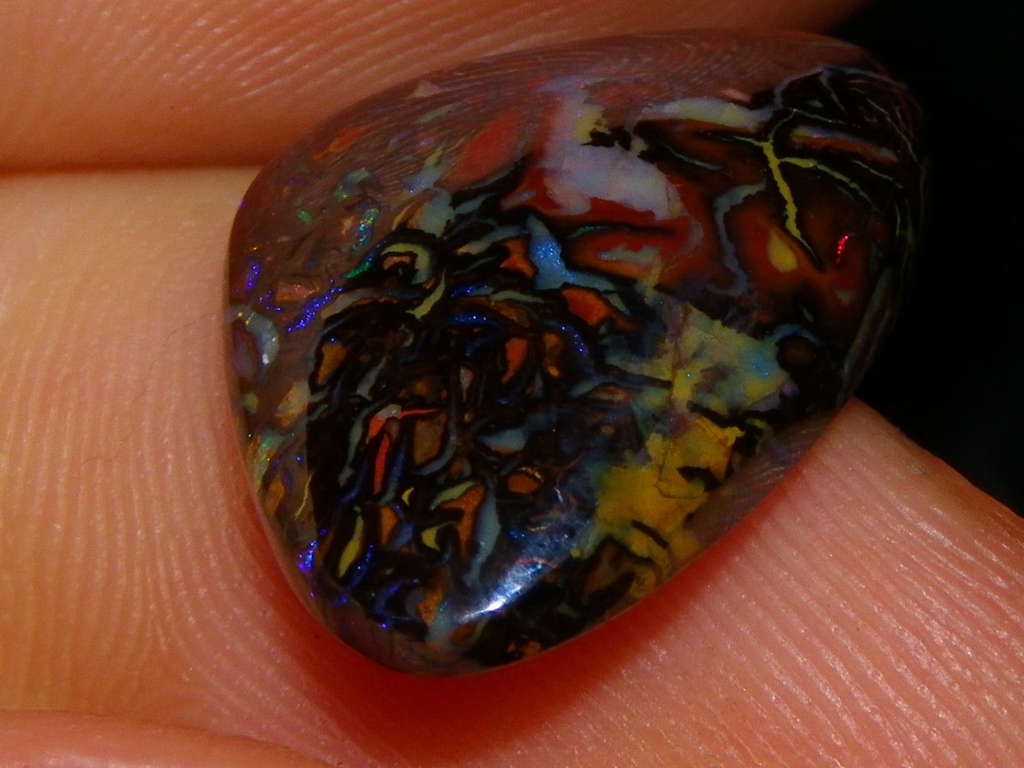 2 Nice Koroit Cut/Polished Opals 33.6cts Patterns/Some Fires Unique Qld Australia