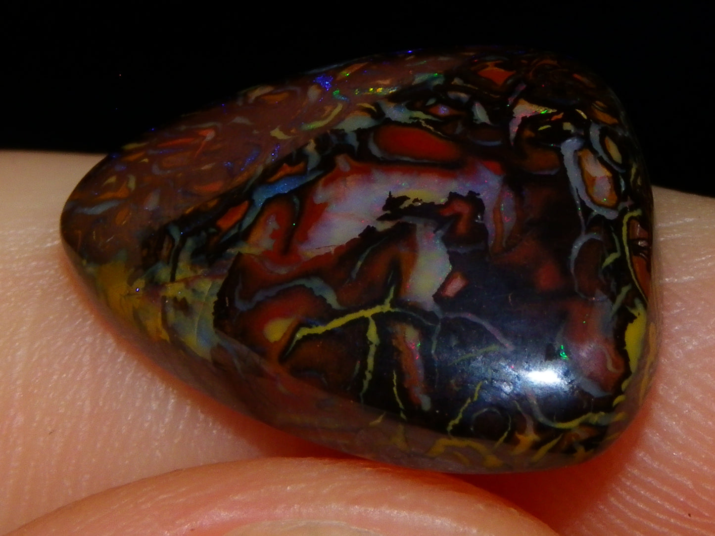 2 Nice Koroit Cut/Polished Opals 33.6cts Patterns/Some Fires Unique Qld Australia