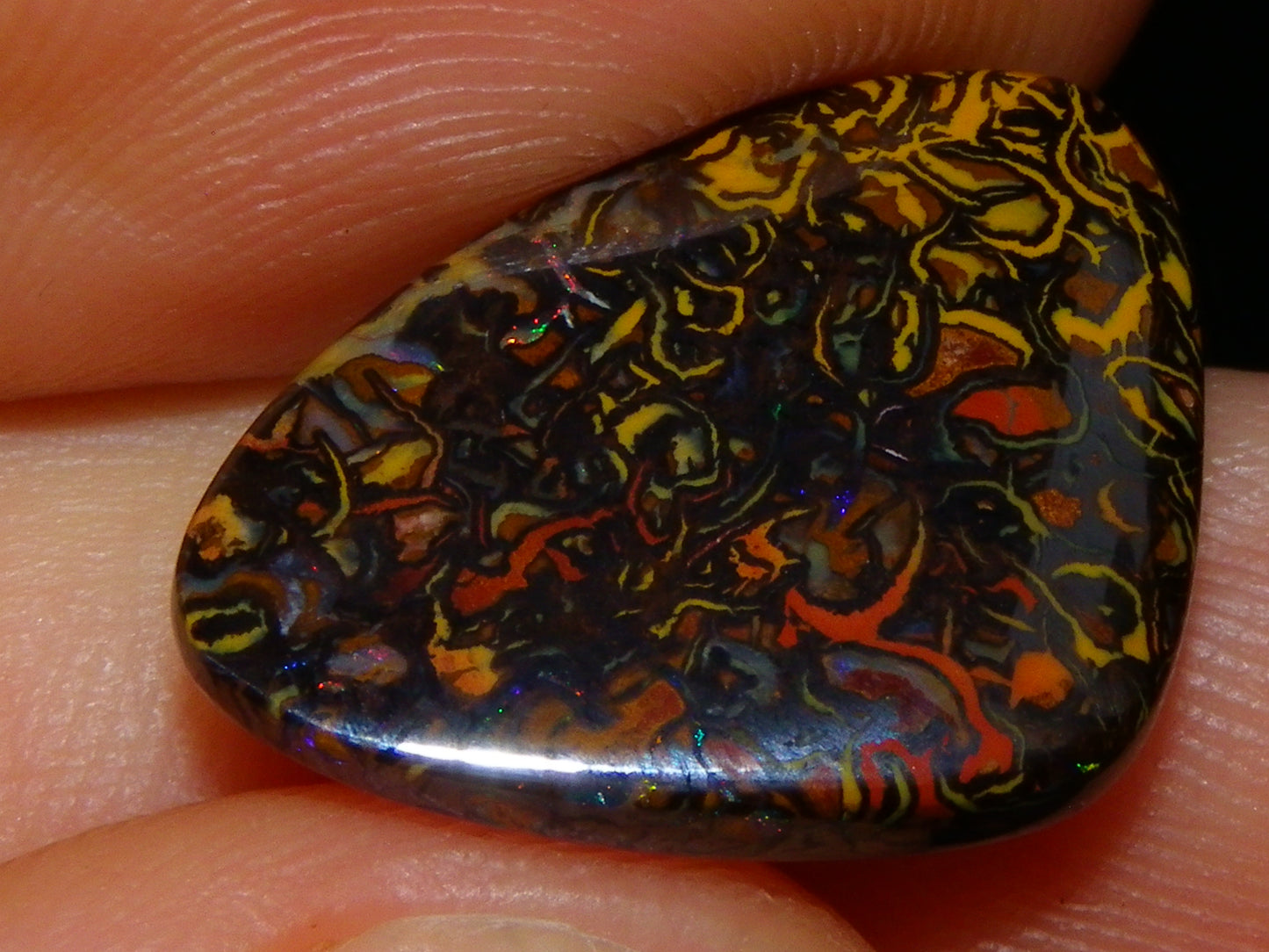 2 Nice Koroit Cut/Polished Opals 33.6cts Patterns/Some Fires Unique Qld Australia