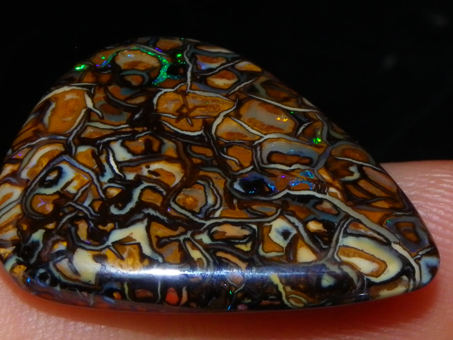 2 Nice Koroit Cut/Polished Opals 33.6cts Patterns/Some Fires Unique Qld Australia