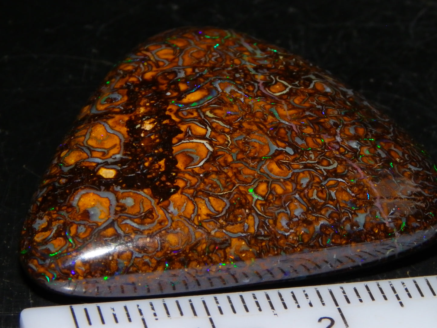 Good Quality Koroit Opal Cab/Freeform 78.9cts Double sided 2 Patterns Blue/Green Fires Queensland Australia