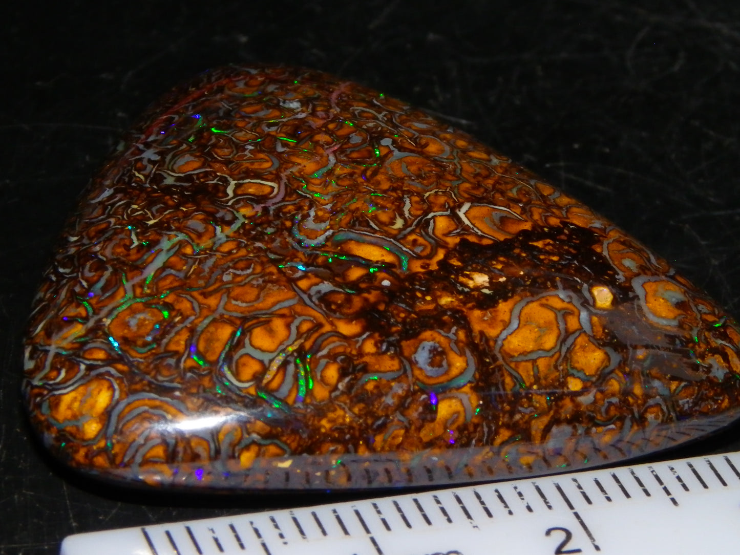 Good Quality Koroit Opal Cab/Freeform 78.9cts Double sided 2 Patterns Blue/Green Fires Queensland Australia