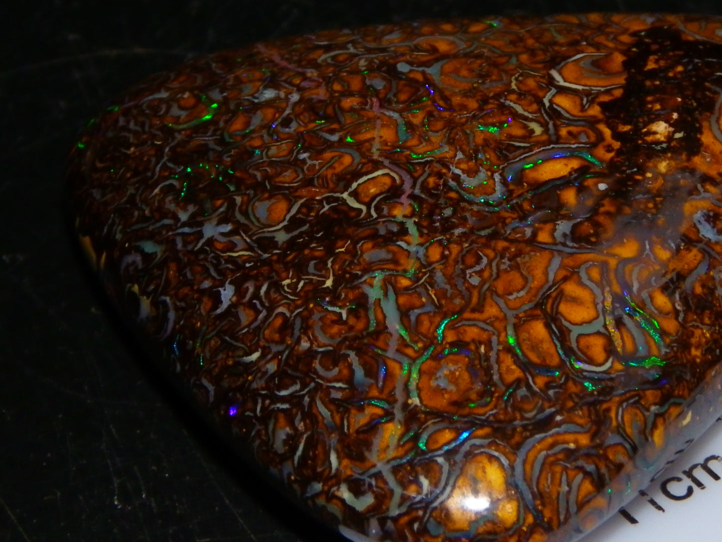 Good Quality Koroit Opal Cab/Freeform 78.9cts Double sided 2 Patterns Blue/Green Fires Queensland Australia