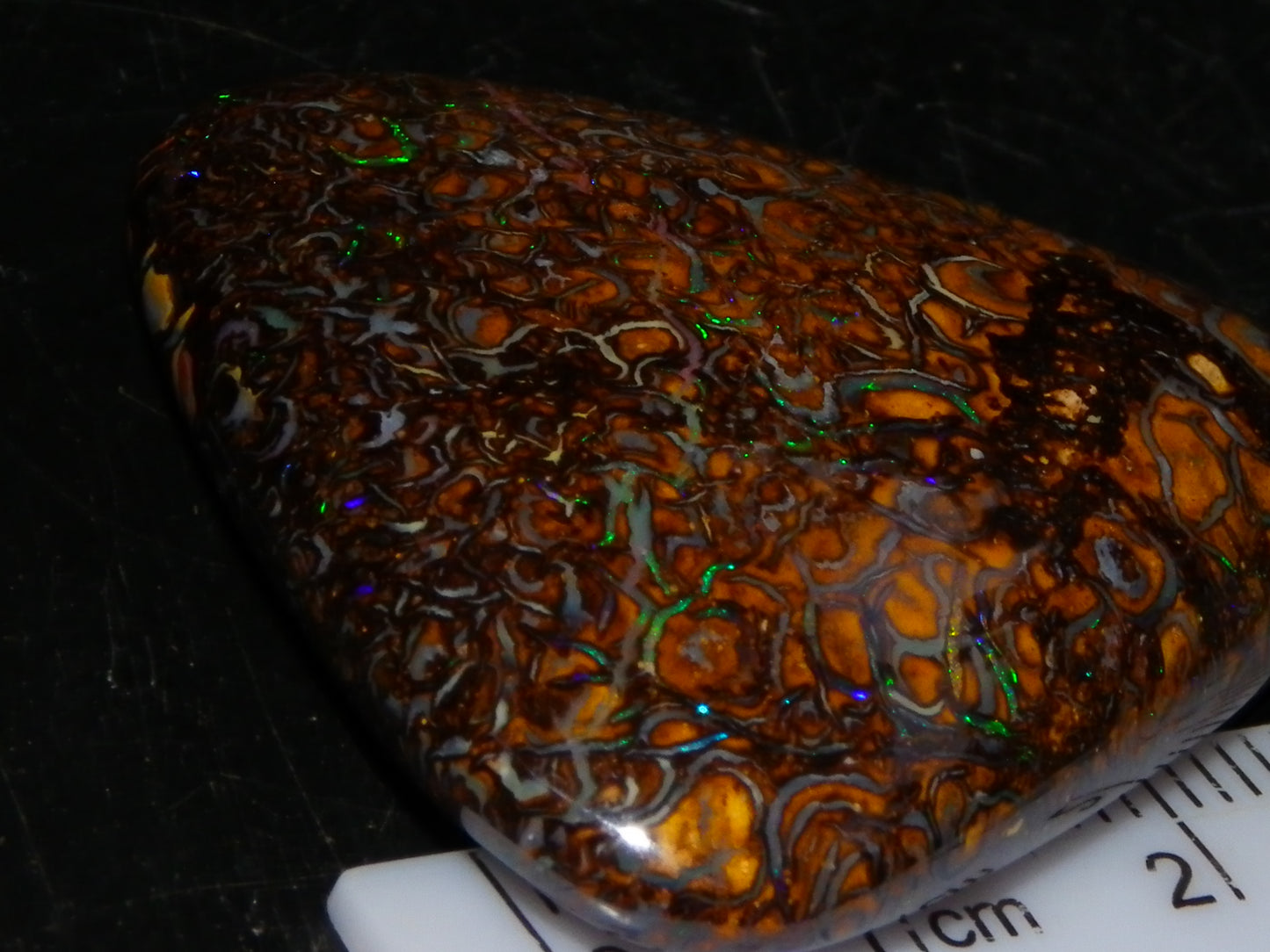 Good Quality Koroit Opal Cab/Freeform 78.9cts Double sided 2 Patterns Blue/Green Fires Queensland Australia