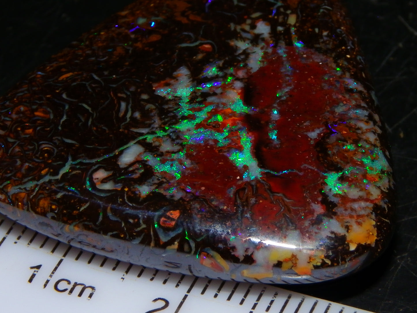 Good Quality Koroit Opal Cab/Freeform 78.9cts Double sided 2 Patterns Blue/Green Fires Queensland Australia