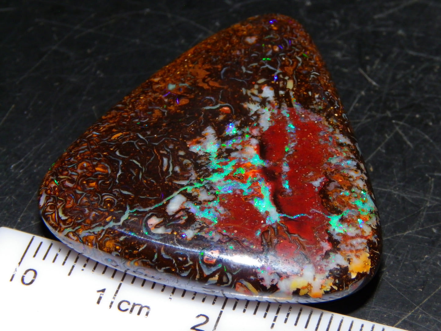 Good Quality Koroit Opal Cab/Freeform 78.9cts Double sided 2 Patterns Blue/Green Fires Queensland Australia