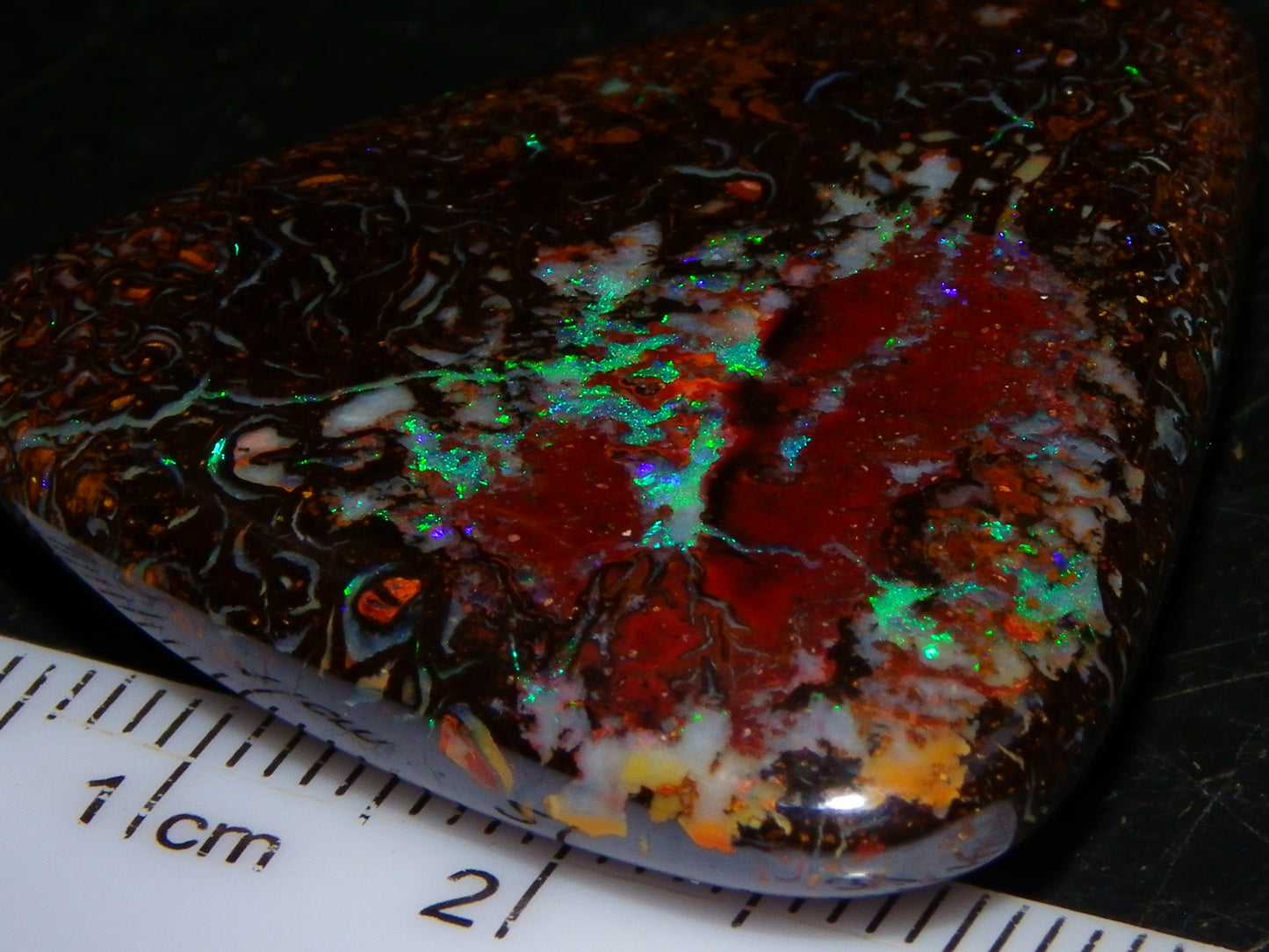 Good Quality Koroit Opal Cab/Freeform 78.9cts Double sided 2 Patterns Blue/Green Fires Queensland Australia