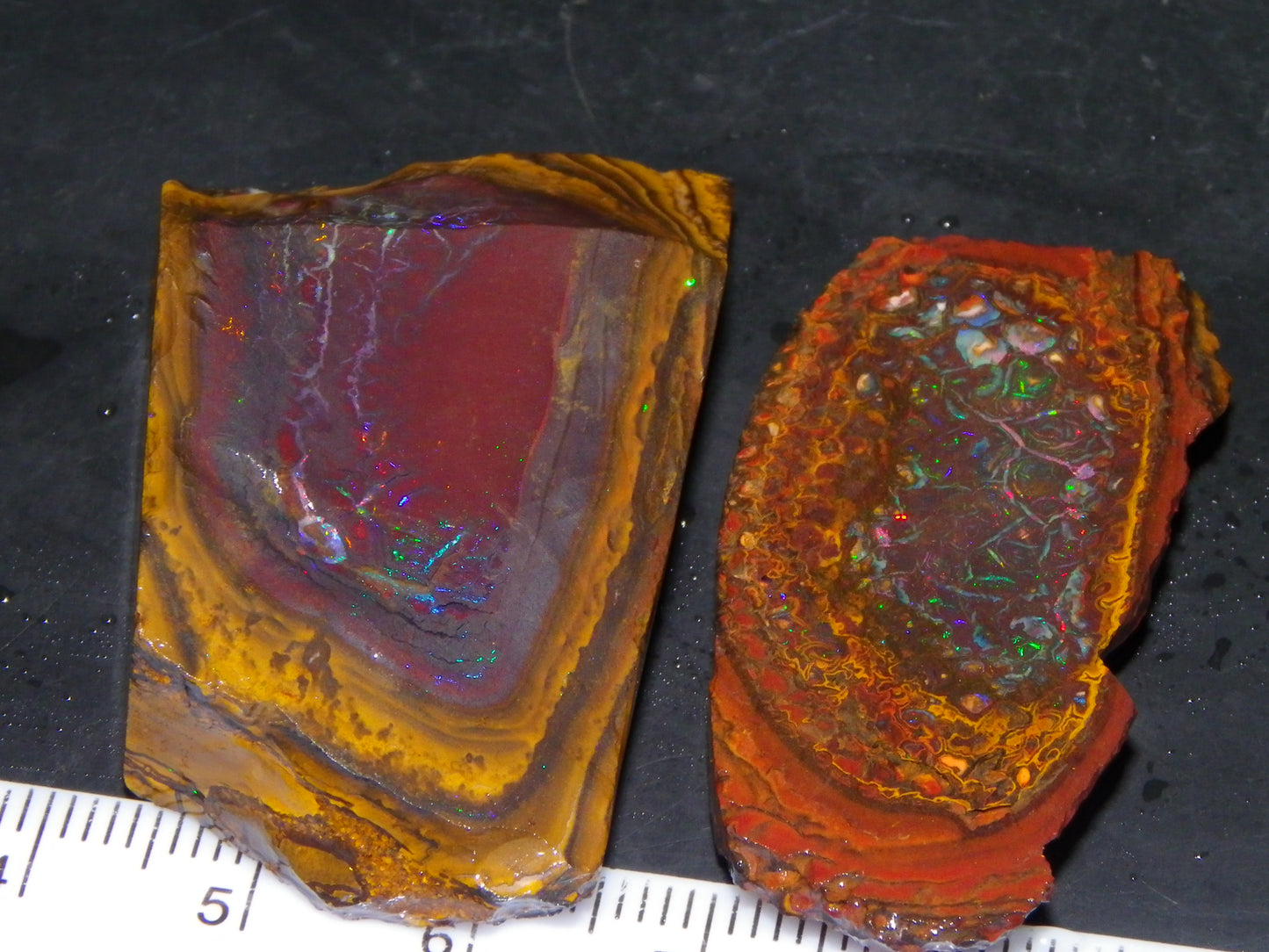 2 Nice Koroit Opal But/Sliced Rough Specimens 190cts Red Fires/Patterns Qld Au