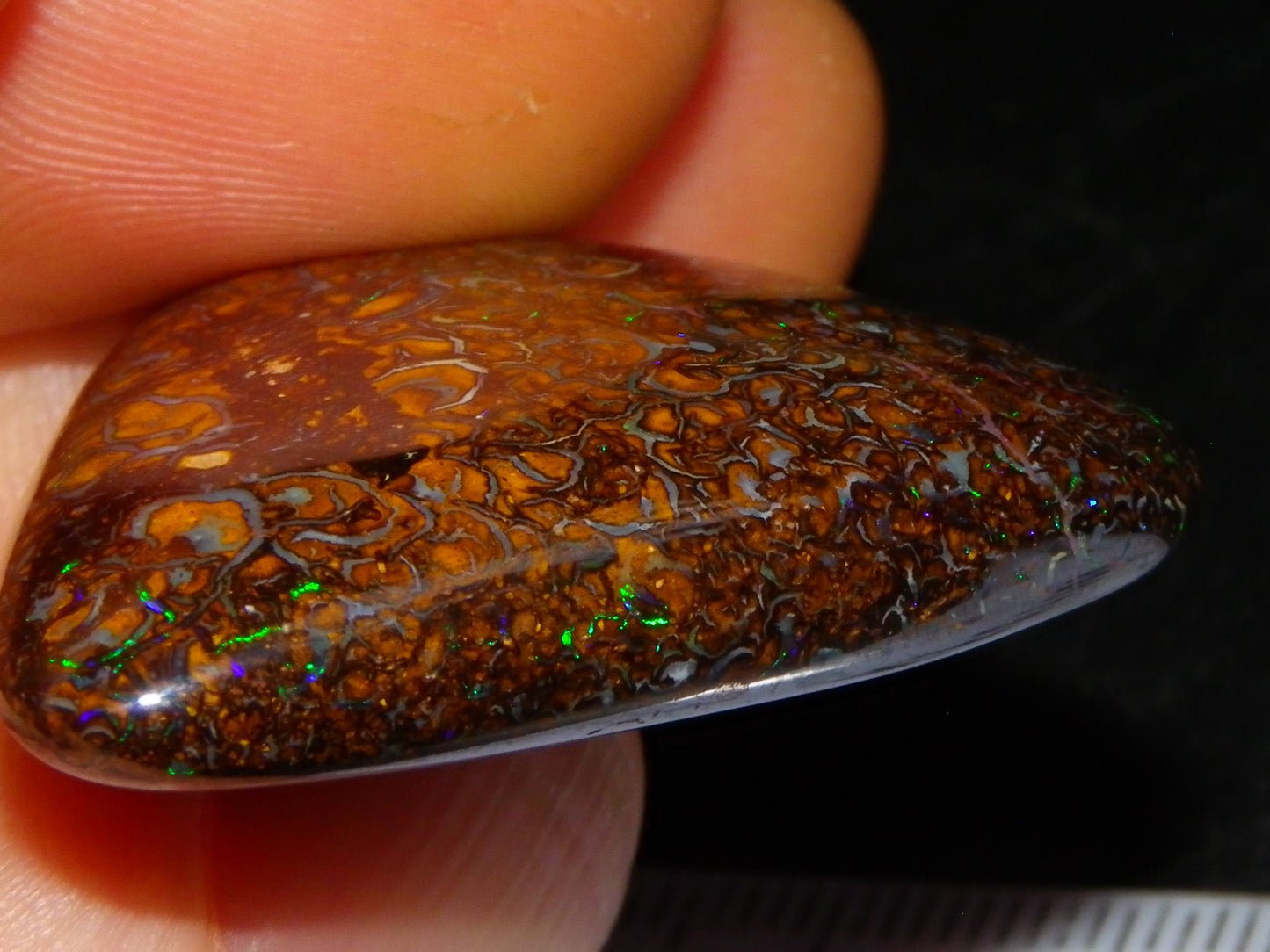 Good Quality Koroit Opal Cab/Freeform 78.9cts Double sided 2 Patterns Blue/Green Fires Queensland Australia