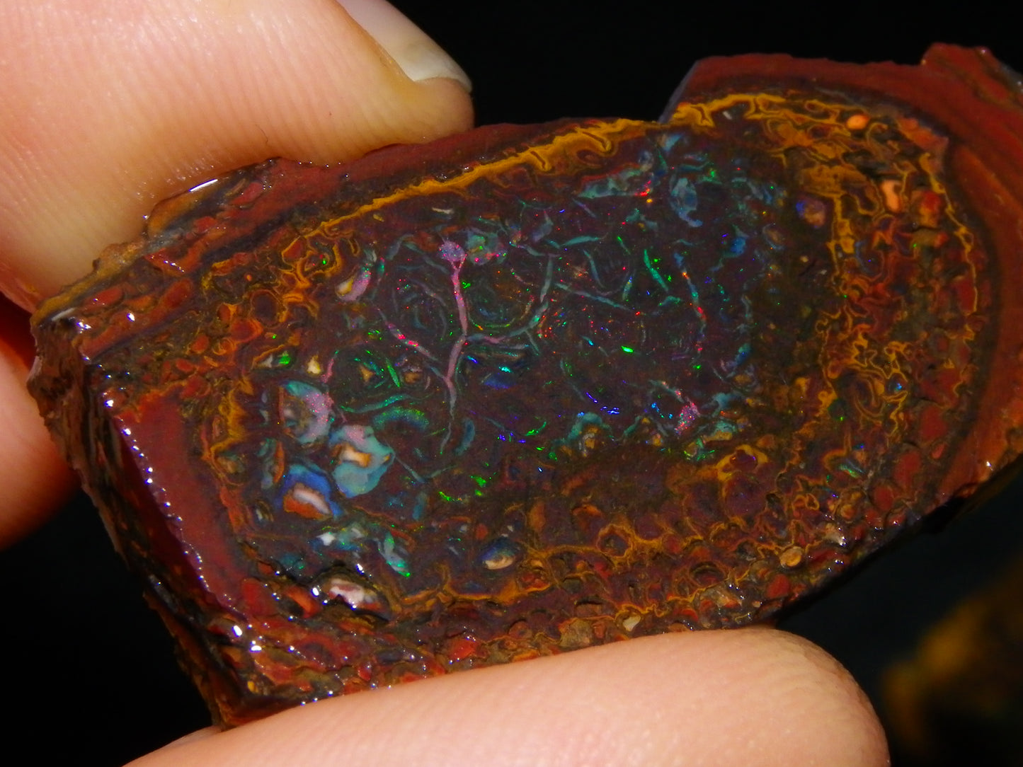 2 Nice Koroit Opal But/Sliced Rough Specimens 190cts Red Fires/Patterns Qld Au