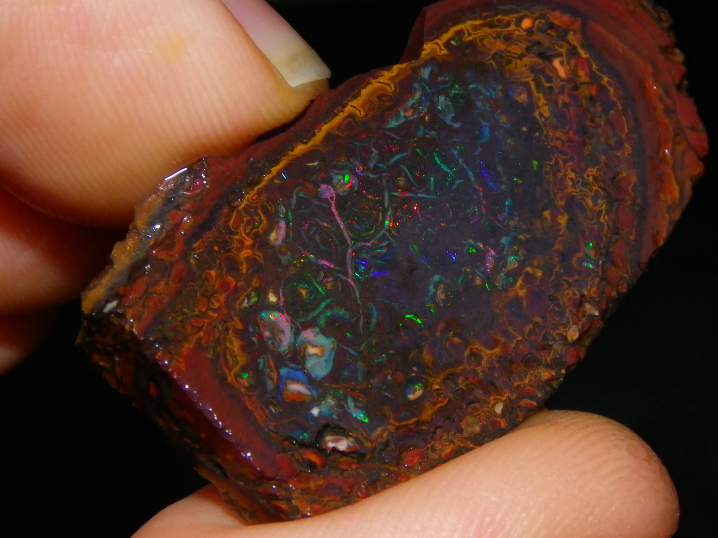 2 Nice Koroit Opal But/Sliced Rough Specimens 190cts Red Fires/Patterns Qld Au