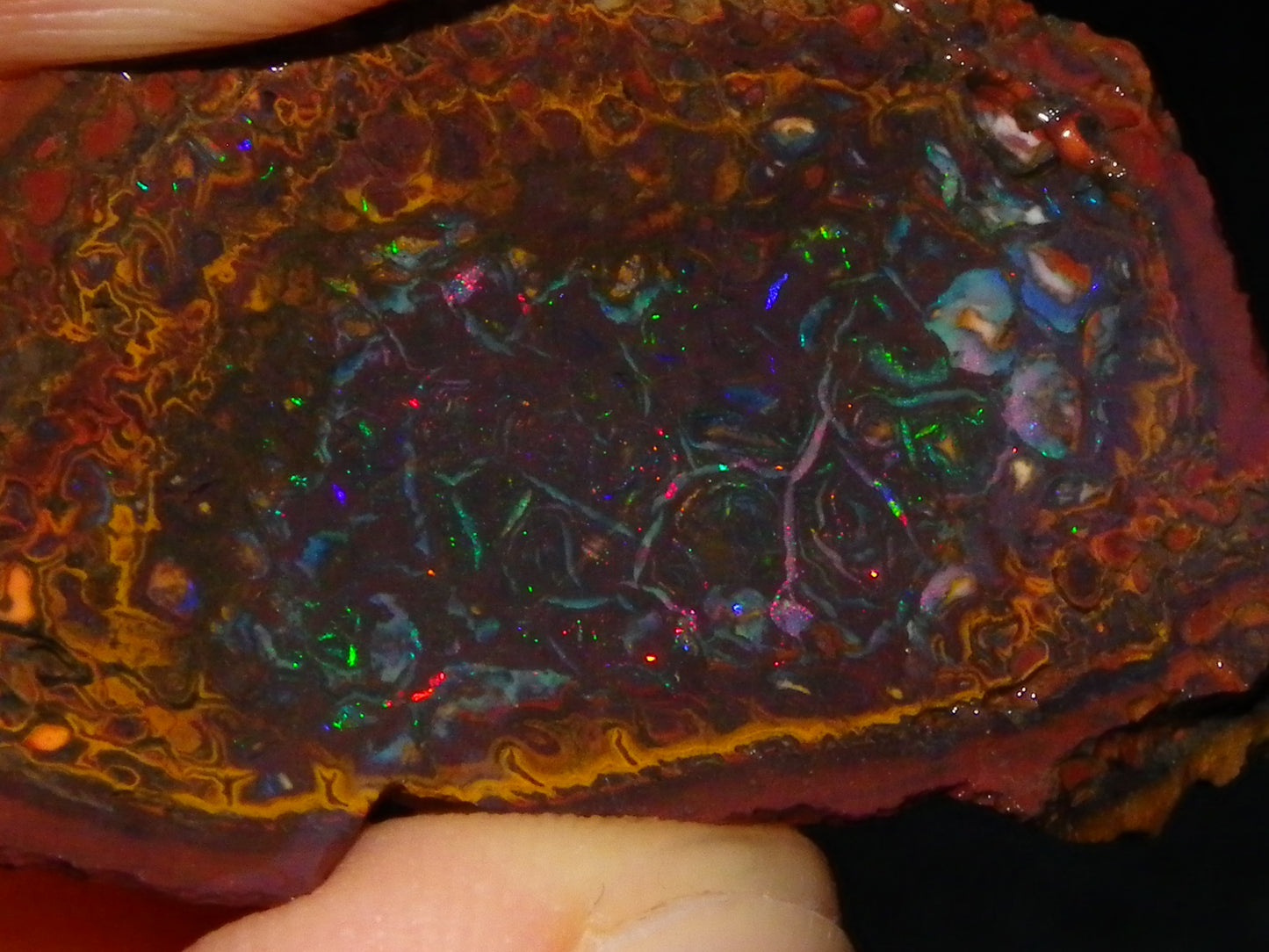 2 Nice Koroit Opal But/Sliced Rough Specimens 190cts Red Fires/Patterns Qld Au