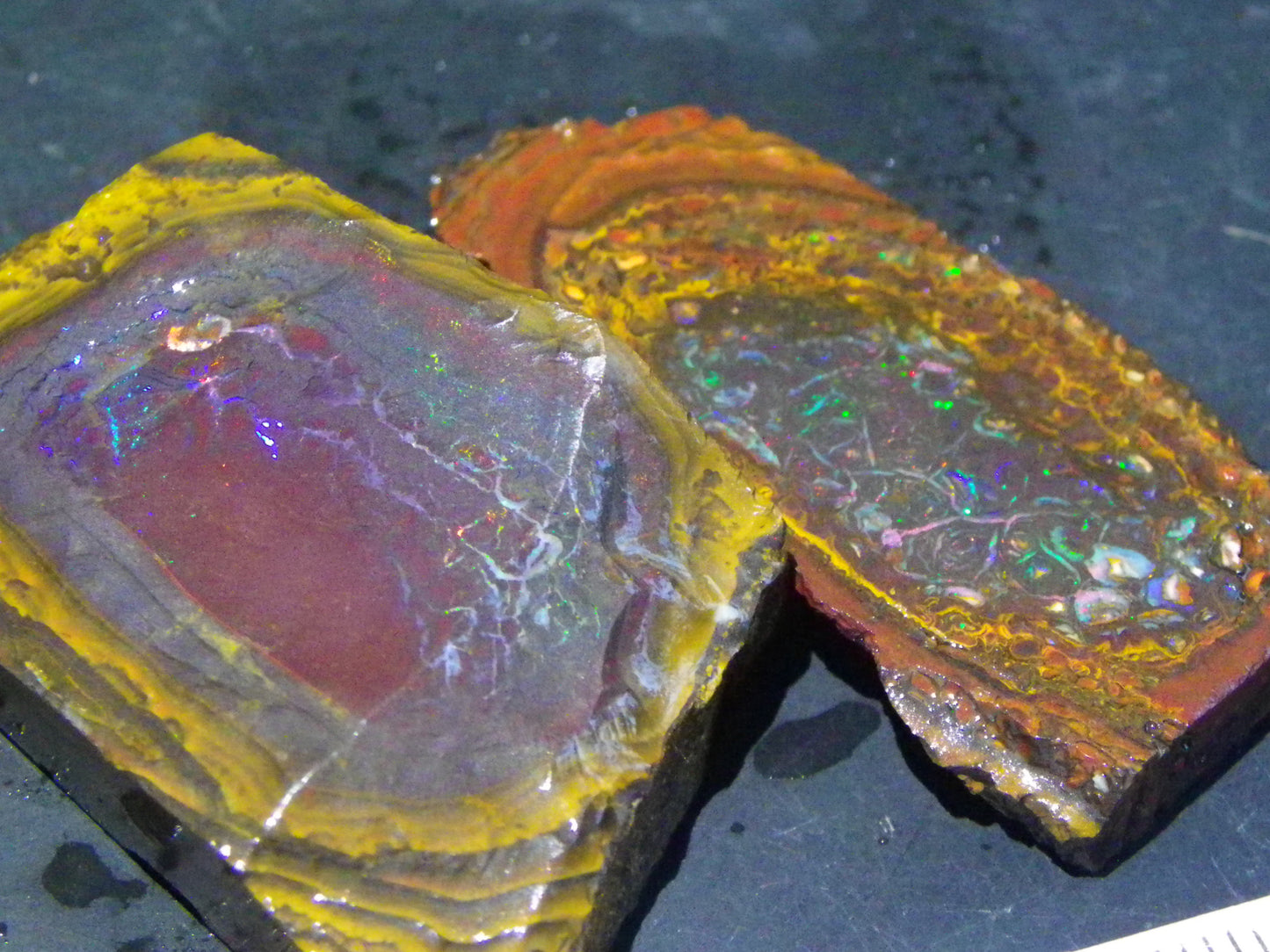 2 Nice Koroit Opal But/Sliced Rough Specimens 190cts Red Fires/Patterns Qld Au