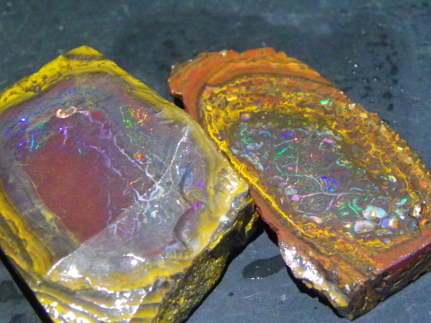 2 Nice Koroit Opal But/Sliced Rough Specimens 190cts Red Fires/Patterns Qld Au