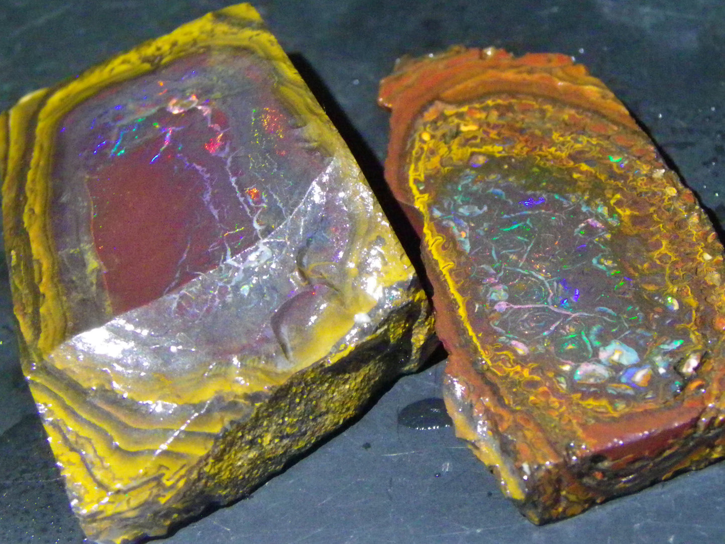 2 Nice Koroit Opal But/Sliced Rough Specimens 190cts Red Fires/Patterns Qld Au