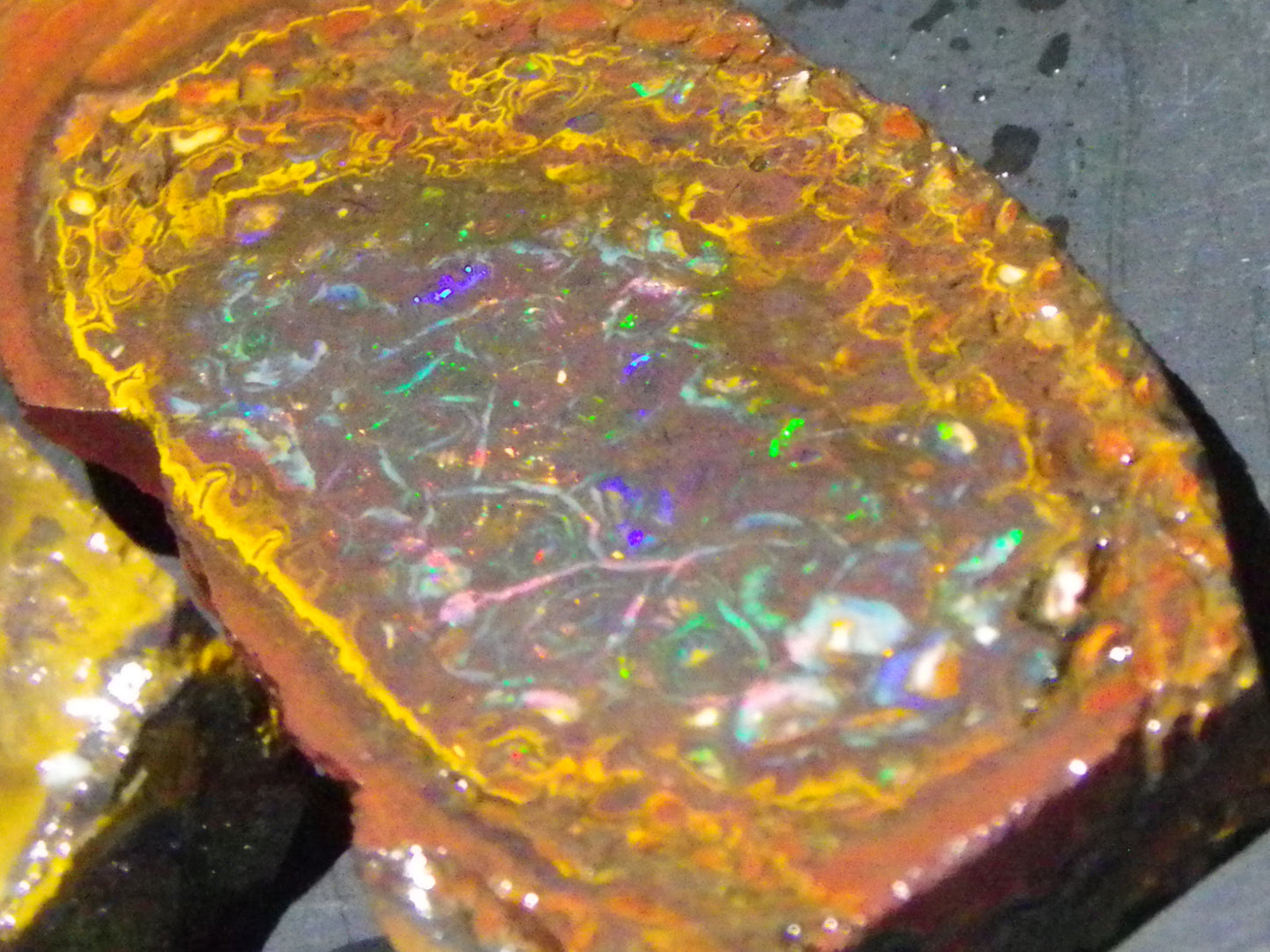 2 Nice Koroit Opal But/Sliced Rough Specimens 190cts Red Fires/Patterns Qld Au