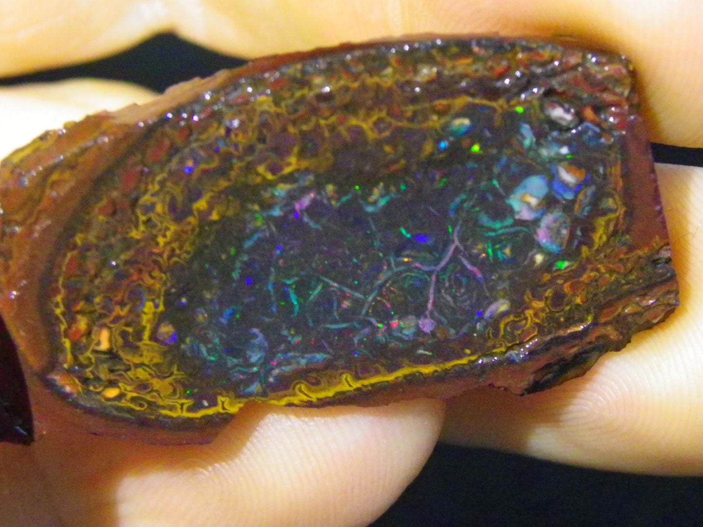 2 Nice Koroit Opal But/Sliced Rough Specimens 190cts Red Fires/Patterns Qld Au