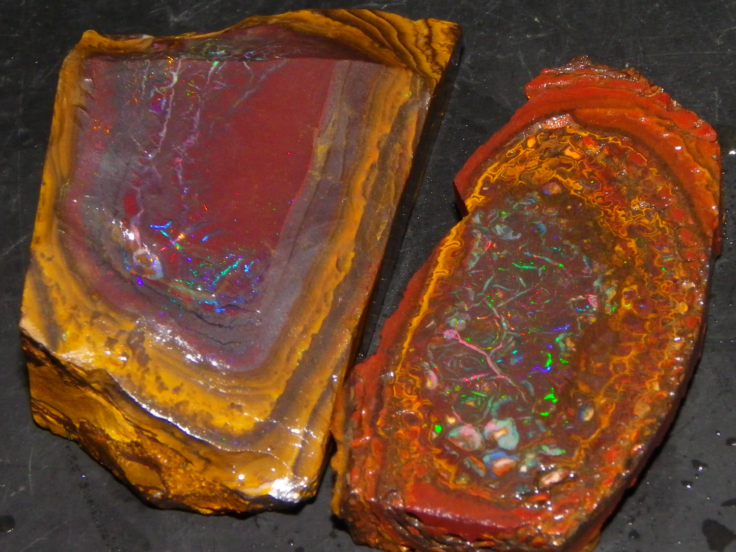 2 Nice Koroit Opal But/Sliced Rough Specimens 190cts Red Fires/Patterns Qld Au