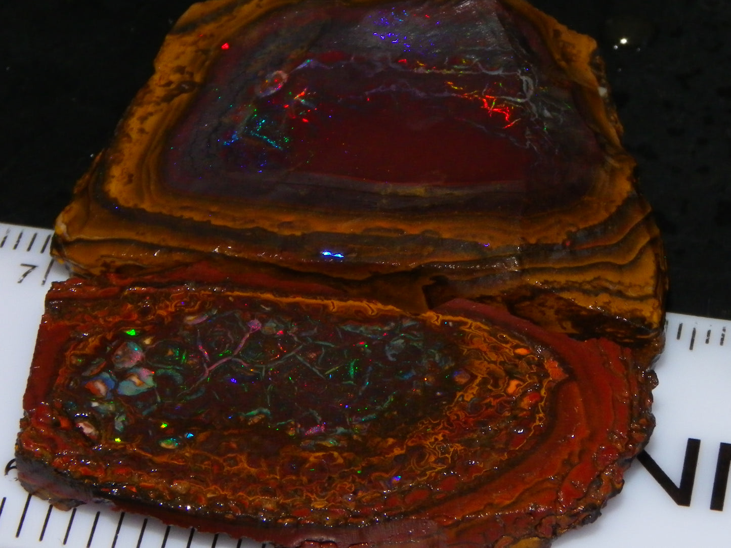 2 Nice Koroit Opal But/Sliced Rough Specimens 190cts Red Fires/Patterns Qld Au