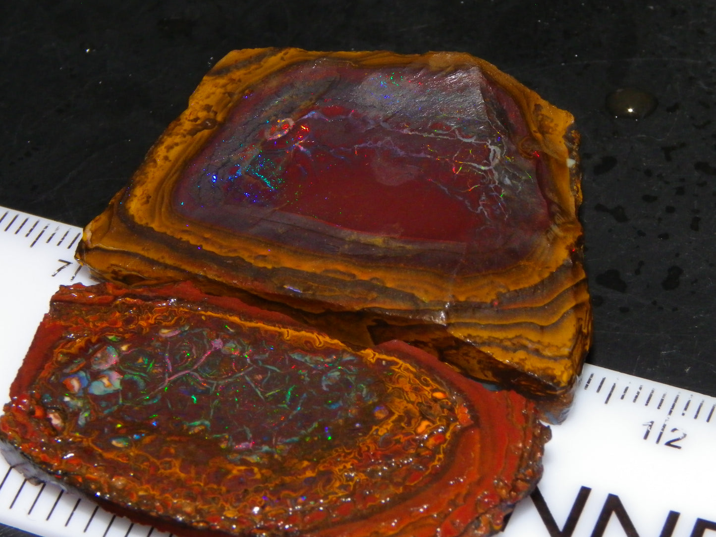 2 Nice Koroit Opal But/Sliced Rough Specimens 190cts Red Fires/Patterns Qld Au