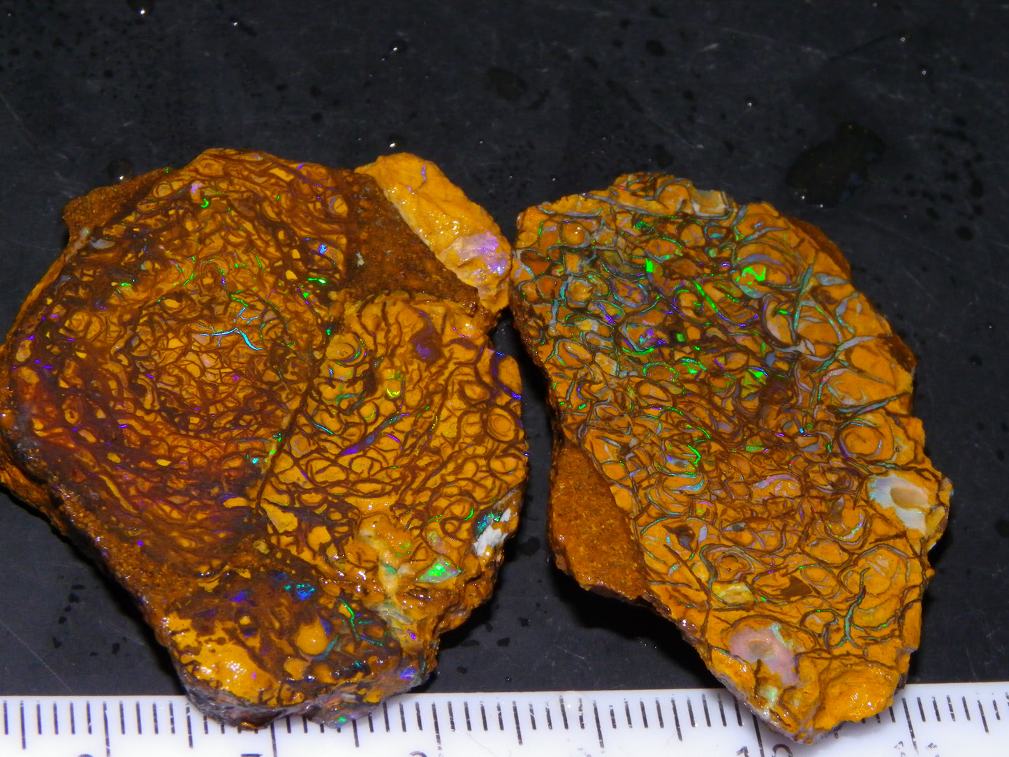 2 Nice Rough/Sliced Koroit Opal Specimens 142cts Queensland Australia Green/Blues :)