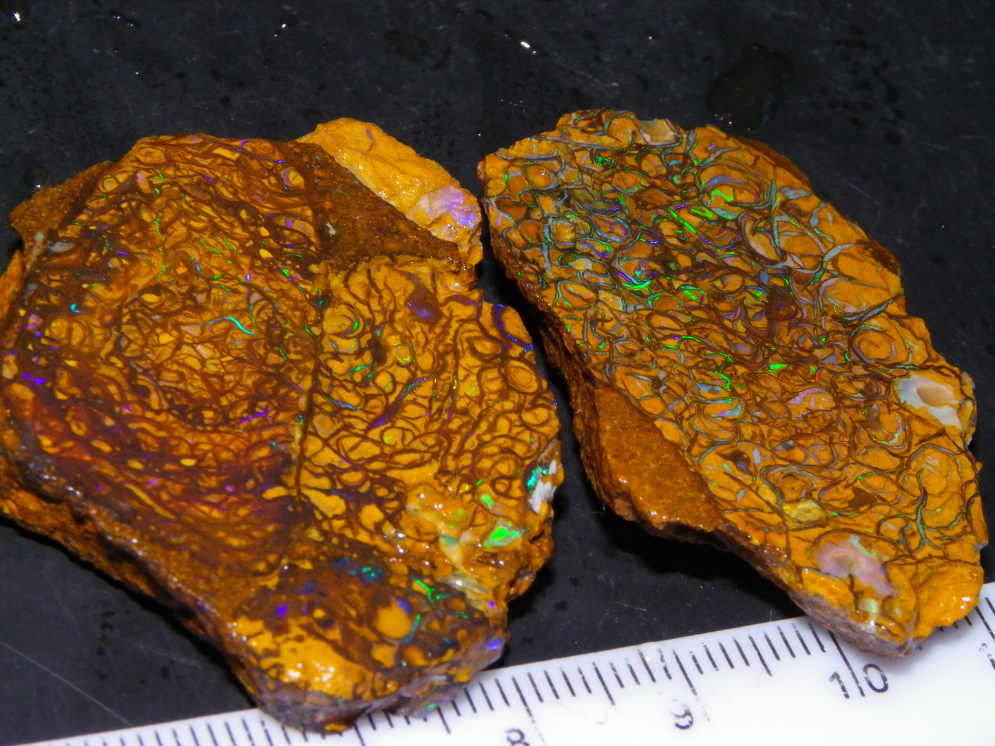 2 Nice Rough/Sliced Koroit Opal Specimens 142cts Queensland Australia Green/Blues :)