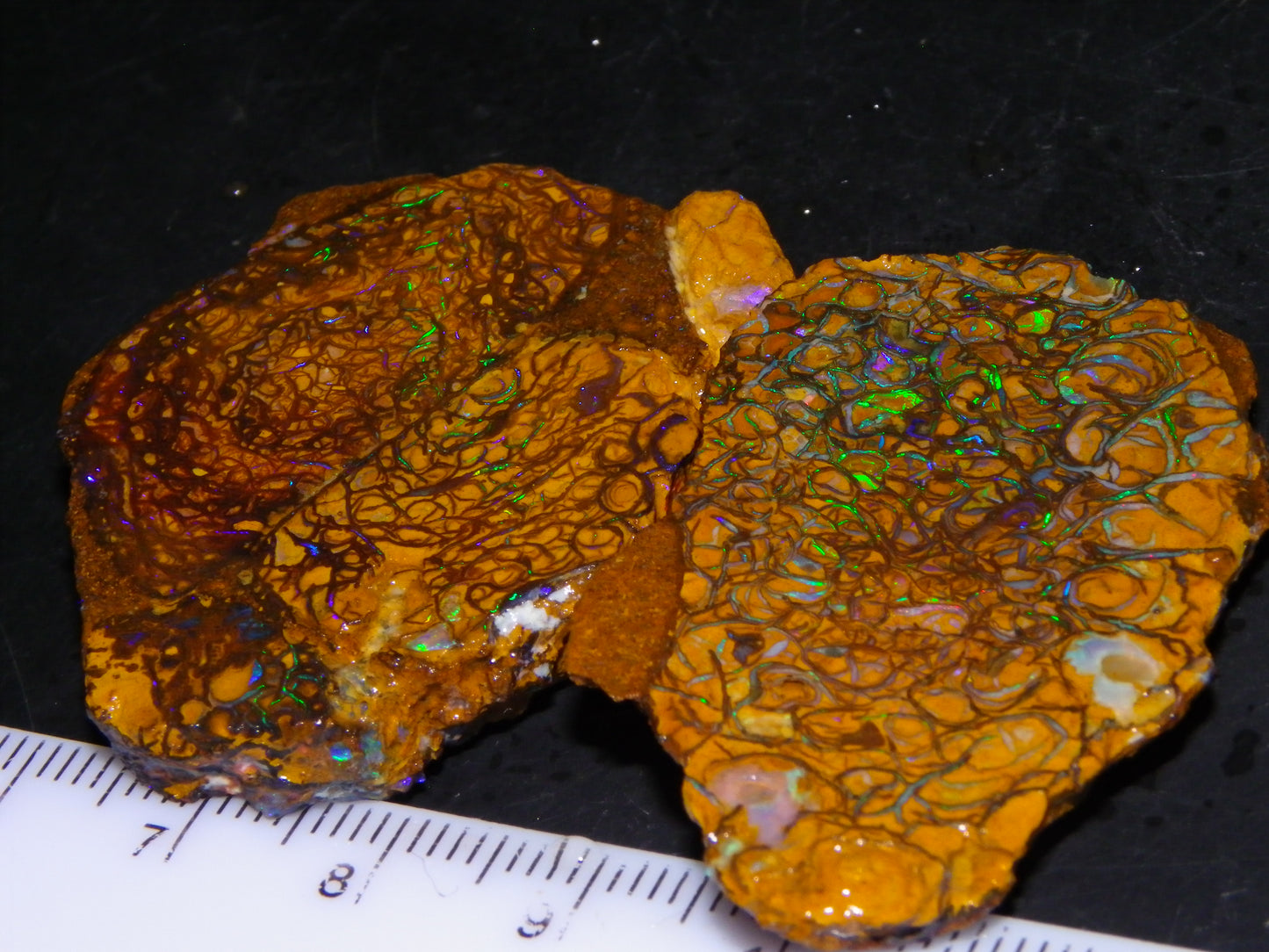 2 Nice Rough/Sliced Koroit Opal Specimens 142cts Queensland Australia Green/Blues :)