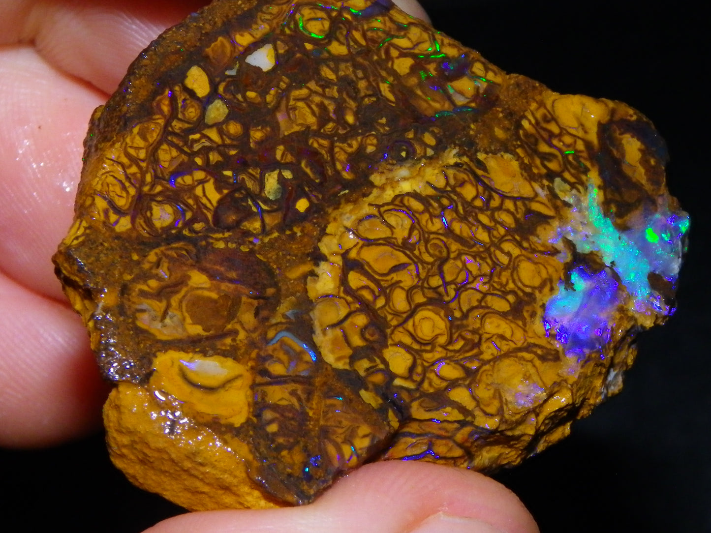 2 Nice Rough/Sliced Koroit Opal Specimens 142cts Queensland Australia Green/Blues :)