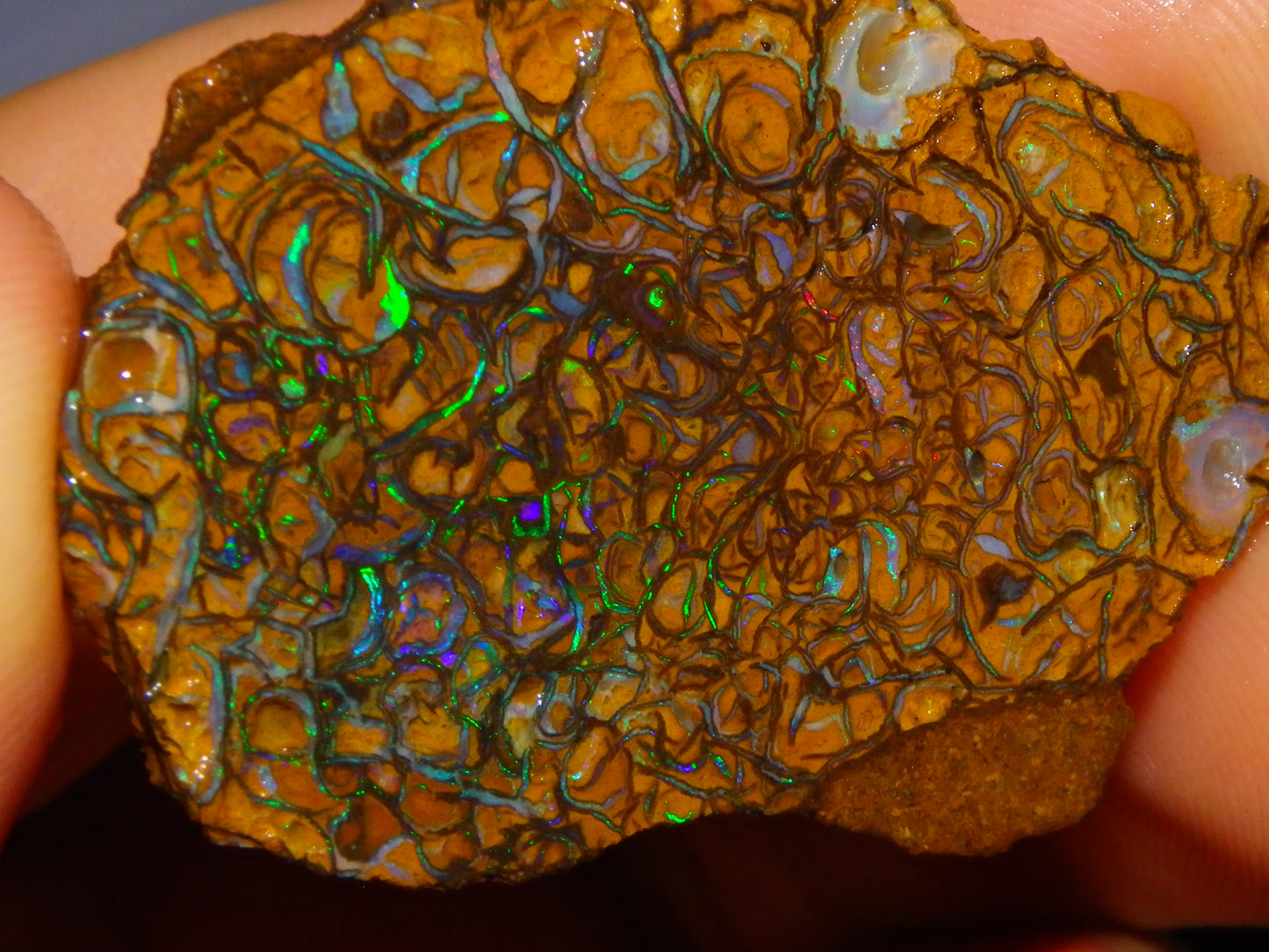 2 Nice Rough/Sliced Koroit Opal Specimens 142cts Queensland Australia Green/Blues :)