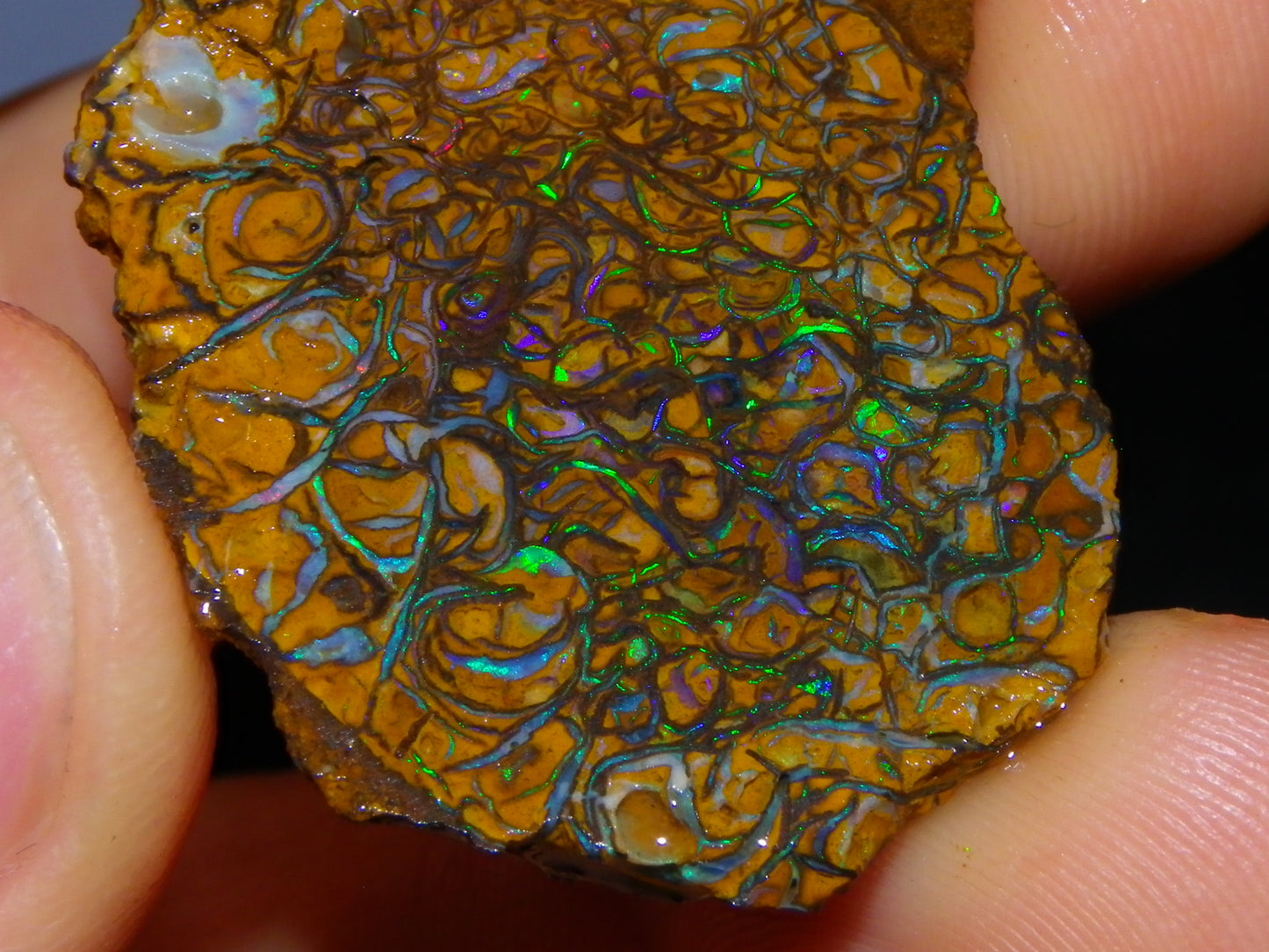 2 Nice Rough/Sliced Koroit Opal Specimens 142cts Queensland Australia Green/Blues :)