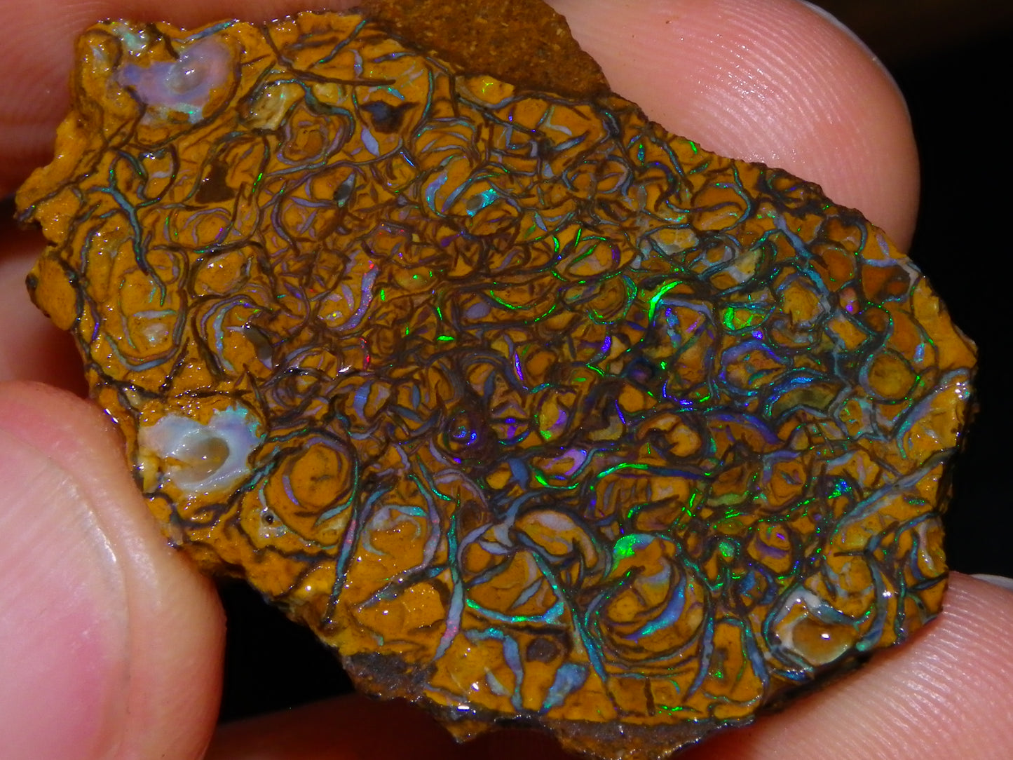 2 Nice Rough/Sliced Koroit Opal Specimens 142cts Queensland Australia Green/Blues :)