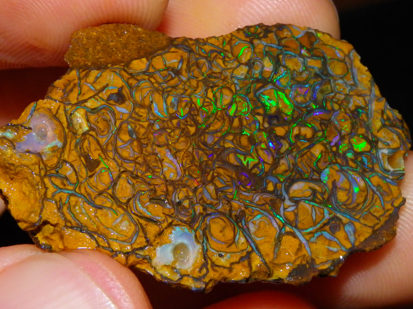 2 Nice Rough/Sliced Koroit Opal Specimens 142cts Queensland Australia Green/Blues :)