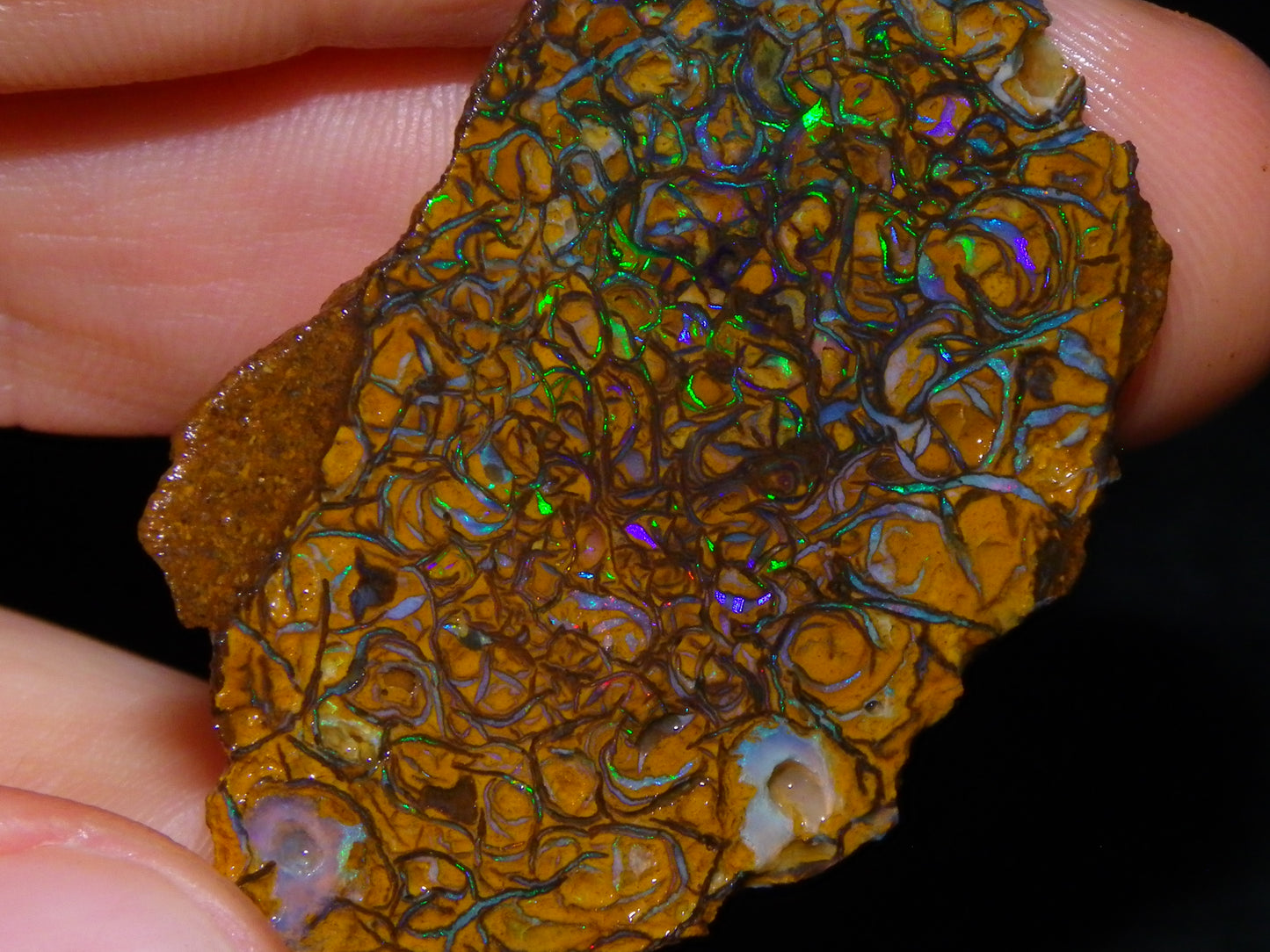 2 Nice Rough/Sliced Koroit Opal Specimens 142cts Queensland Australia Green/Blues :)