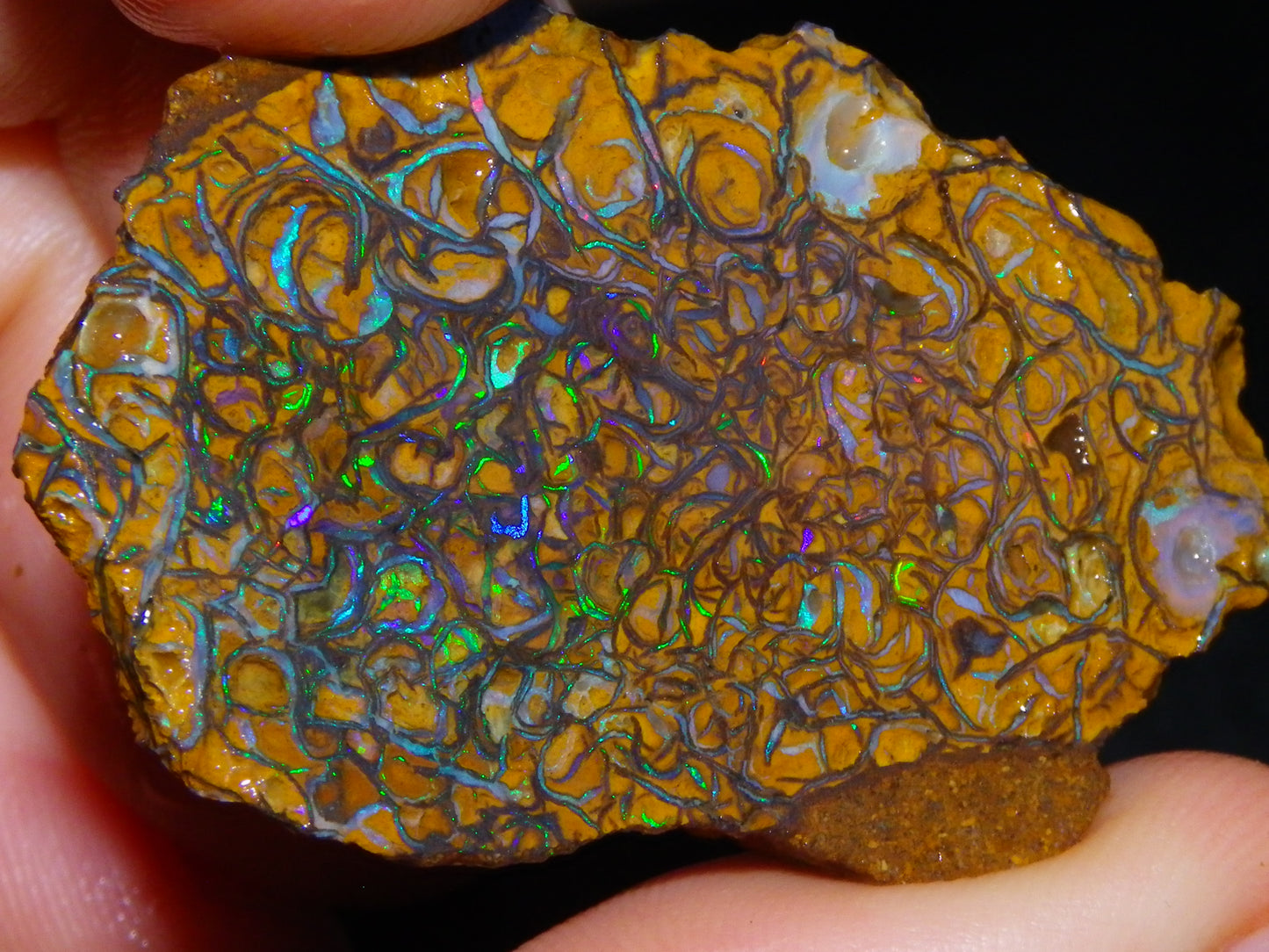 2 Nice Rough/Sliced Koroit Opal Specimens 142cts Queensland Australia Green/Blues :)