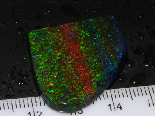 Very Nice Andamooka Matrix Opal Rough/Treated/Sliced Piece 22.12cts Multicolours/Bands