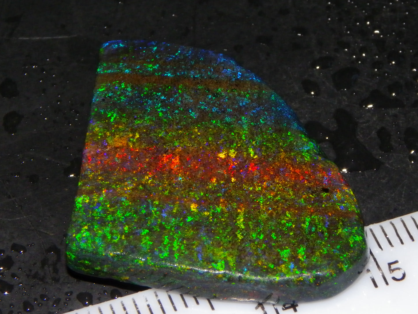 Very Nice Andamooka Matrix Opal Rough/Treated/Sliced Piece 22.12cts Multicolours/Bands