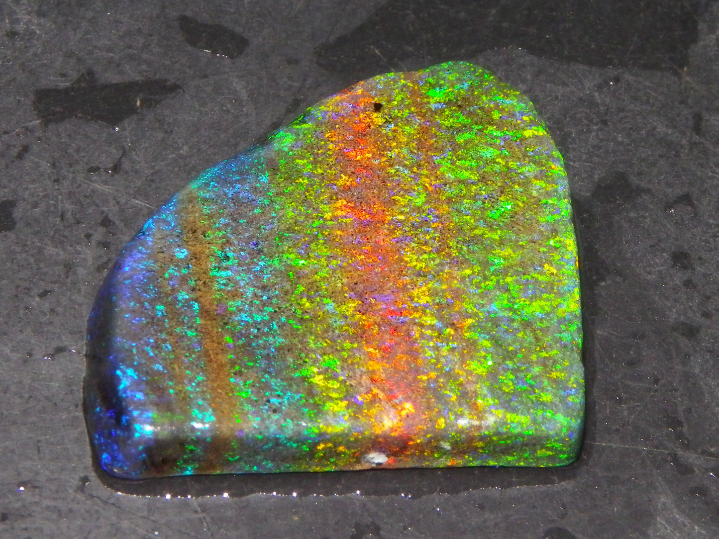 Very Nice Andamooka Matrix Opal Rough/Treated/Sliced Piece 22.12cts Multicolours/Bands