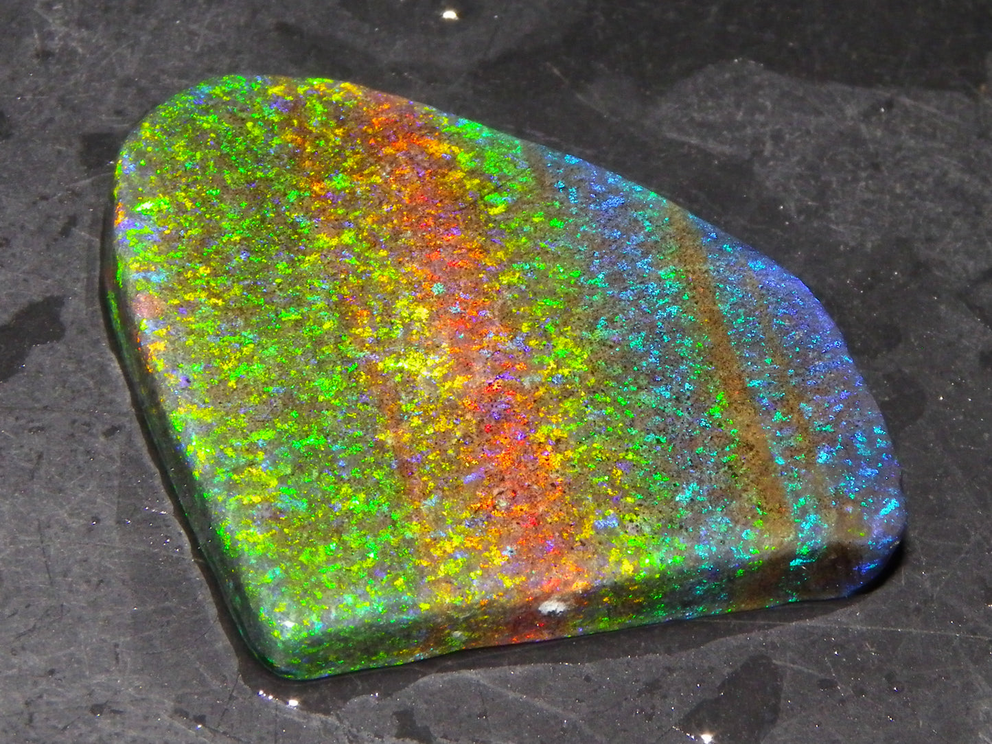 Very Nice Andamooka Matrix Opal Rough/Treated/Sliced Piece 22.12cts Multicolours/Bands