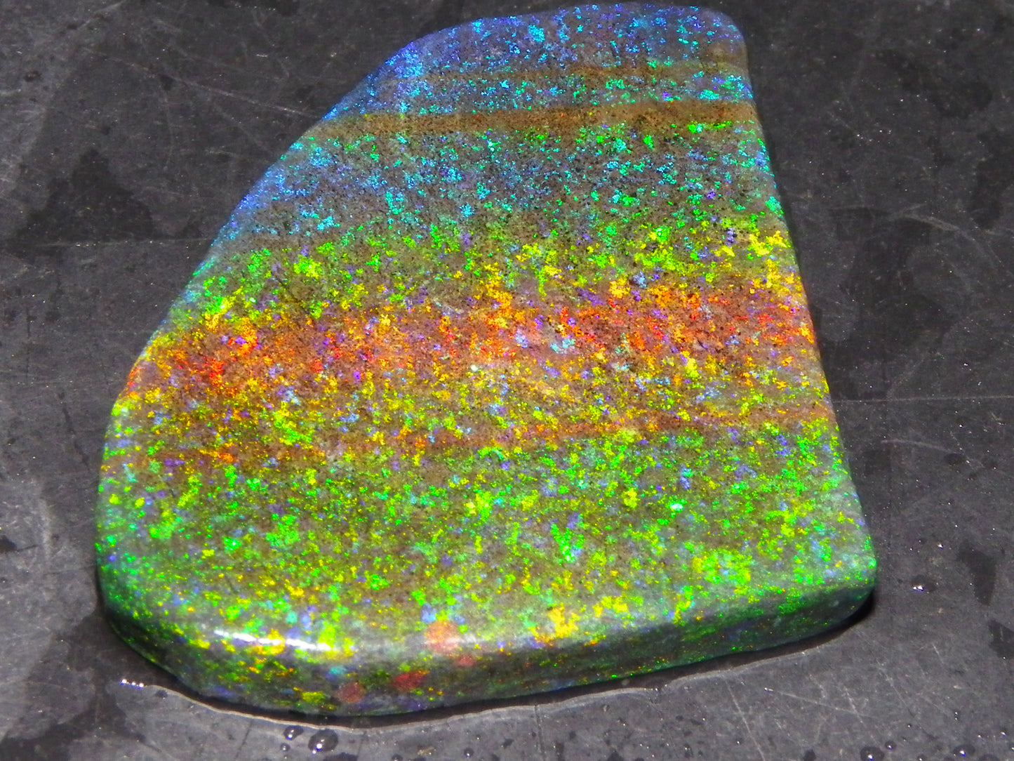 Very Nice Andamooka Matrix Opal Rough/Treated/Sliced Piece 22.12cts Multicolours/Bands