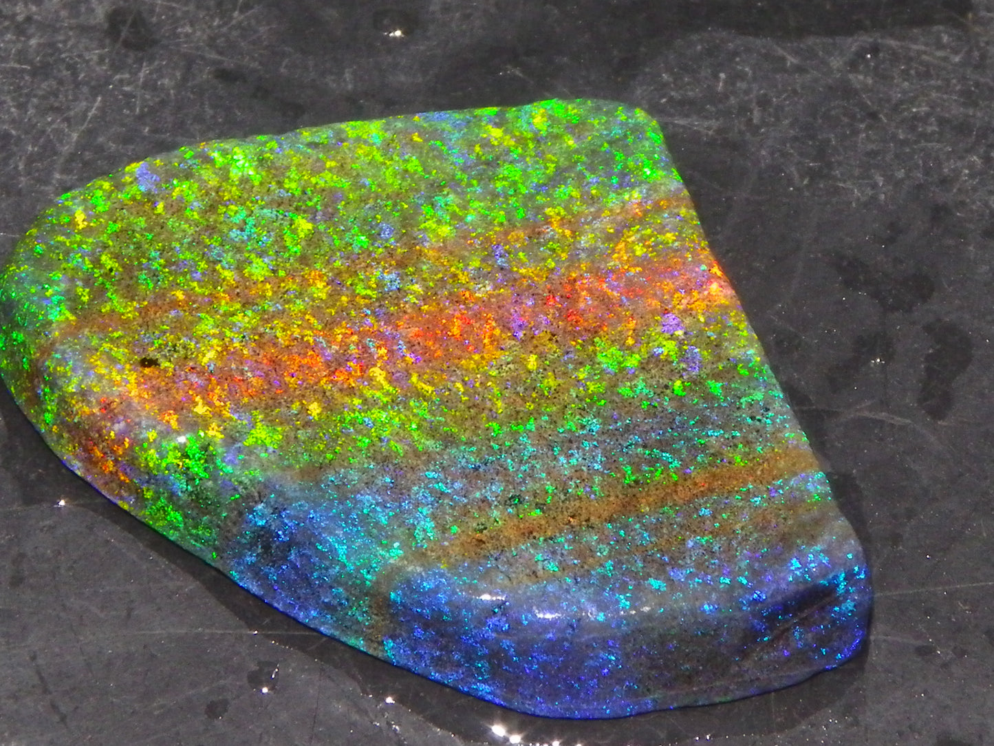 Very Nice Andamooka Matrix Opal Rough/Treated/Sliced Piece 22.12cts Multicolours/Bands