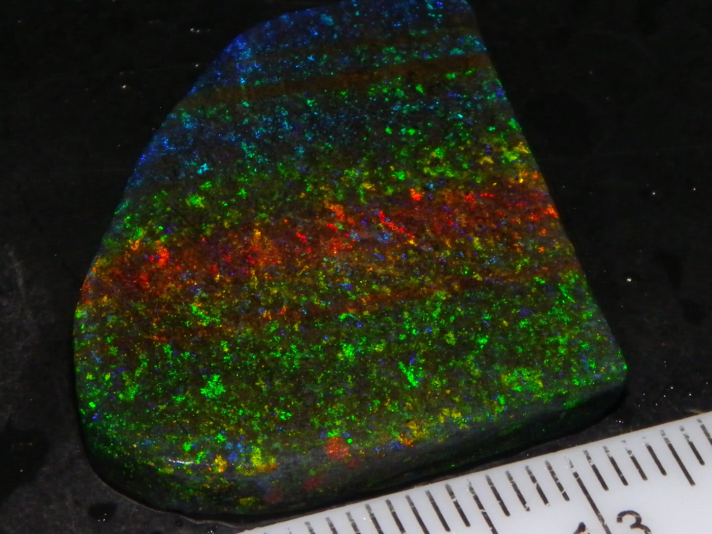 Very Nice Andamooka Matrix Opal Rough/Treated/Sliced Piece 22.12cts Multicolours/Bands