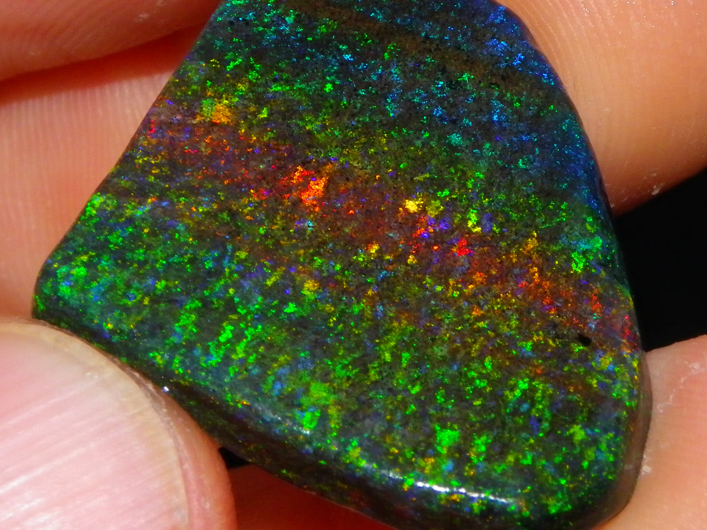 Very Nice Andamooka Matrix Opal Rough/Treated/Sliced Piece 22.12cts Multicolours/Bands