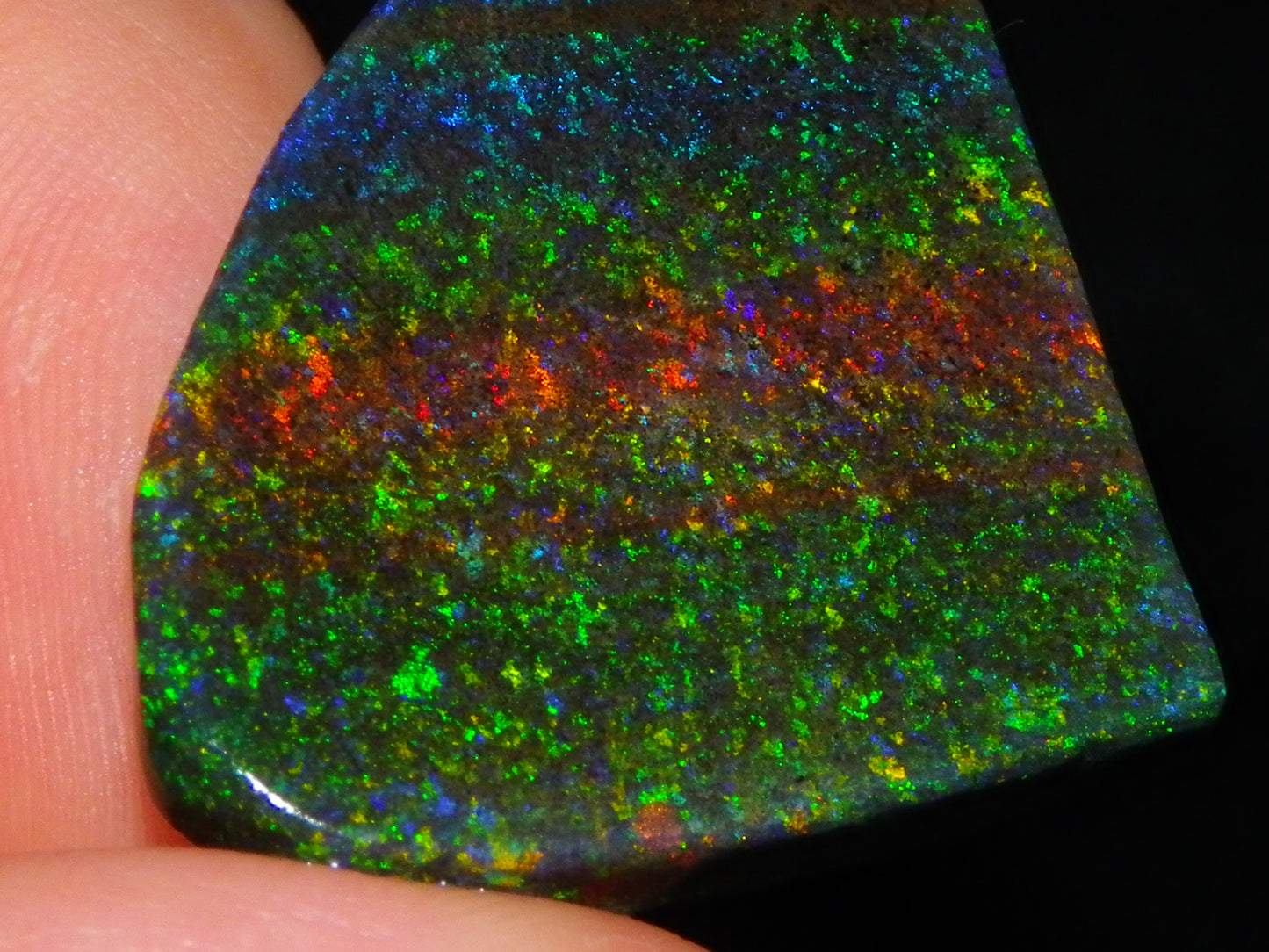 Very Nice Andamooka Matrix Opal Rough/Treated/Sliced Piece 22.12cts Multicolours/Bands