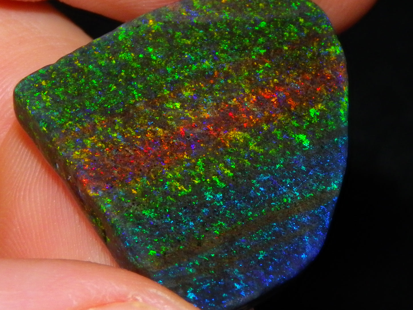 Very Nice Andamooka Matrix Opal Rough/Treated/Sliced Piece 22.12cts Multicolours/Bands